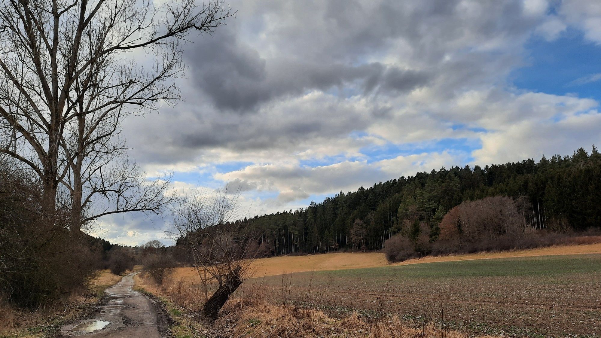 Talweg