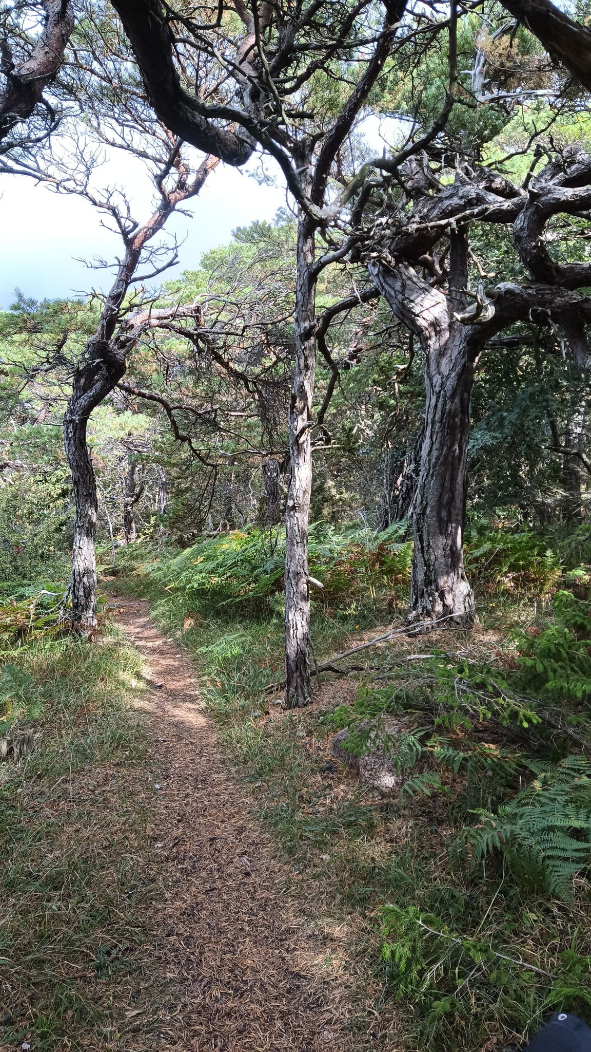 eher ein Wanderweg