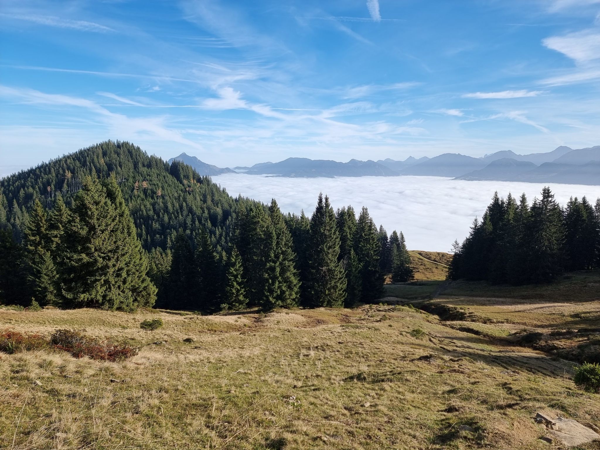 Blick auf das Sigiswanger Horn und den Grünten