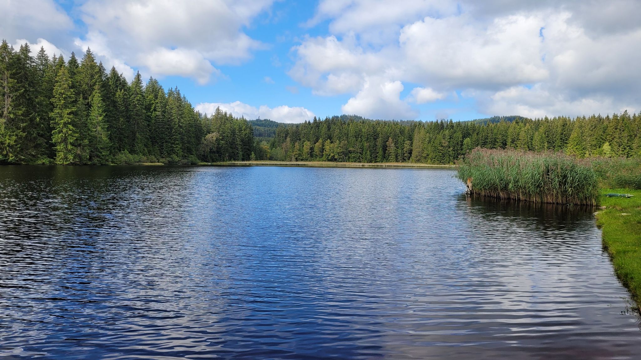 Stierhübelteich