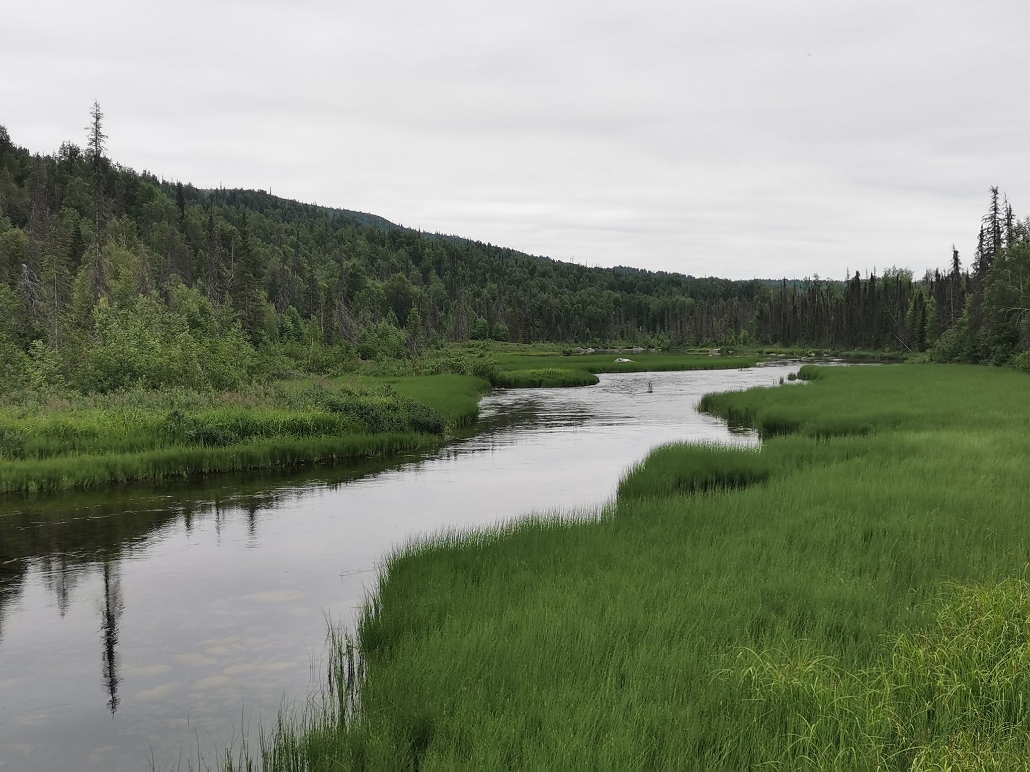 A winding river flows through green marshland and forested hills under an overcast sky. - Byers Lake Loop Trail