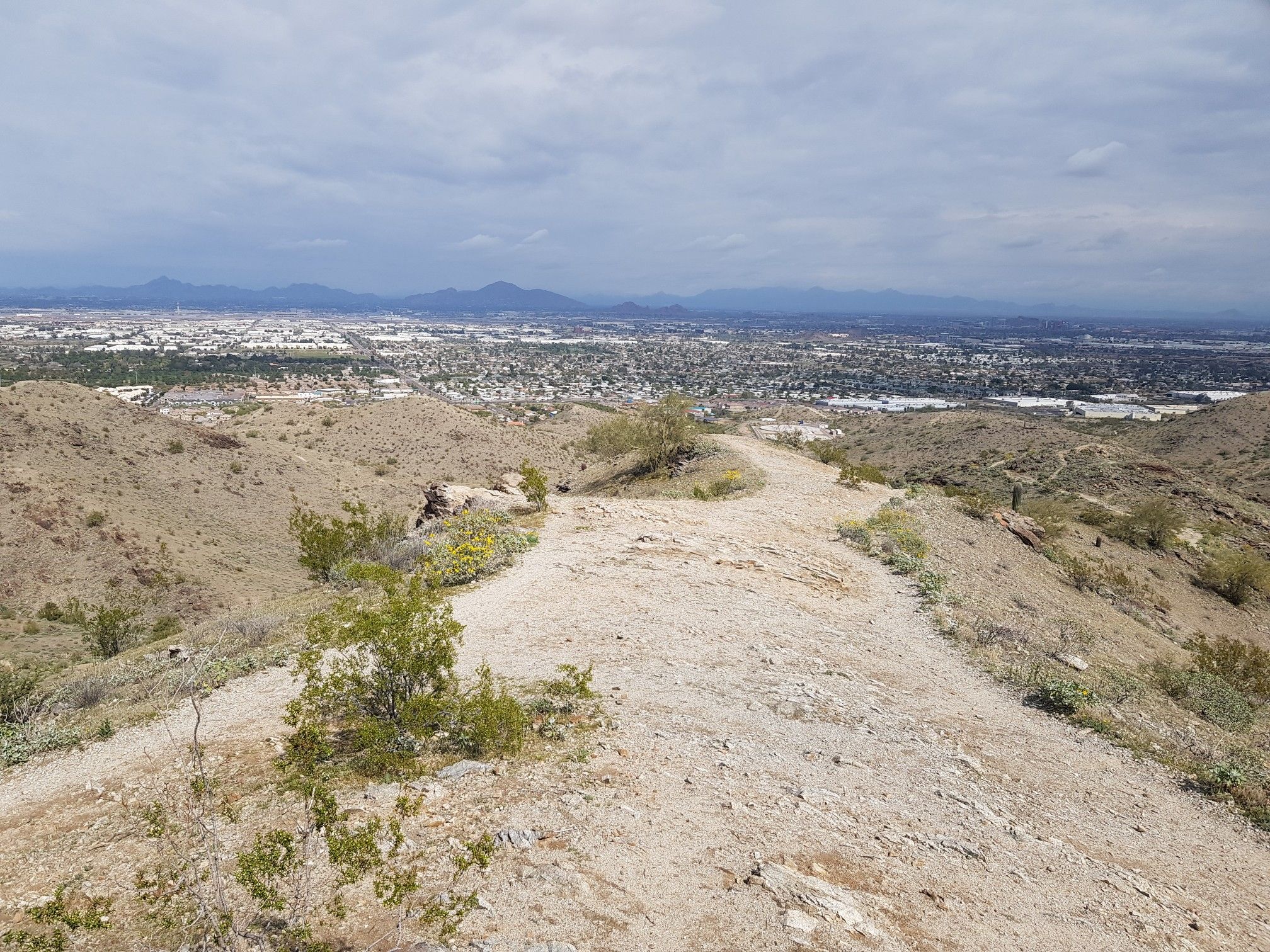 Fork in a dirt trail on a desert hill, city in background, overcast sky. - Javelina Canyon and Ridgeline Loop Trail