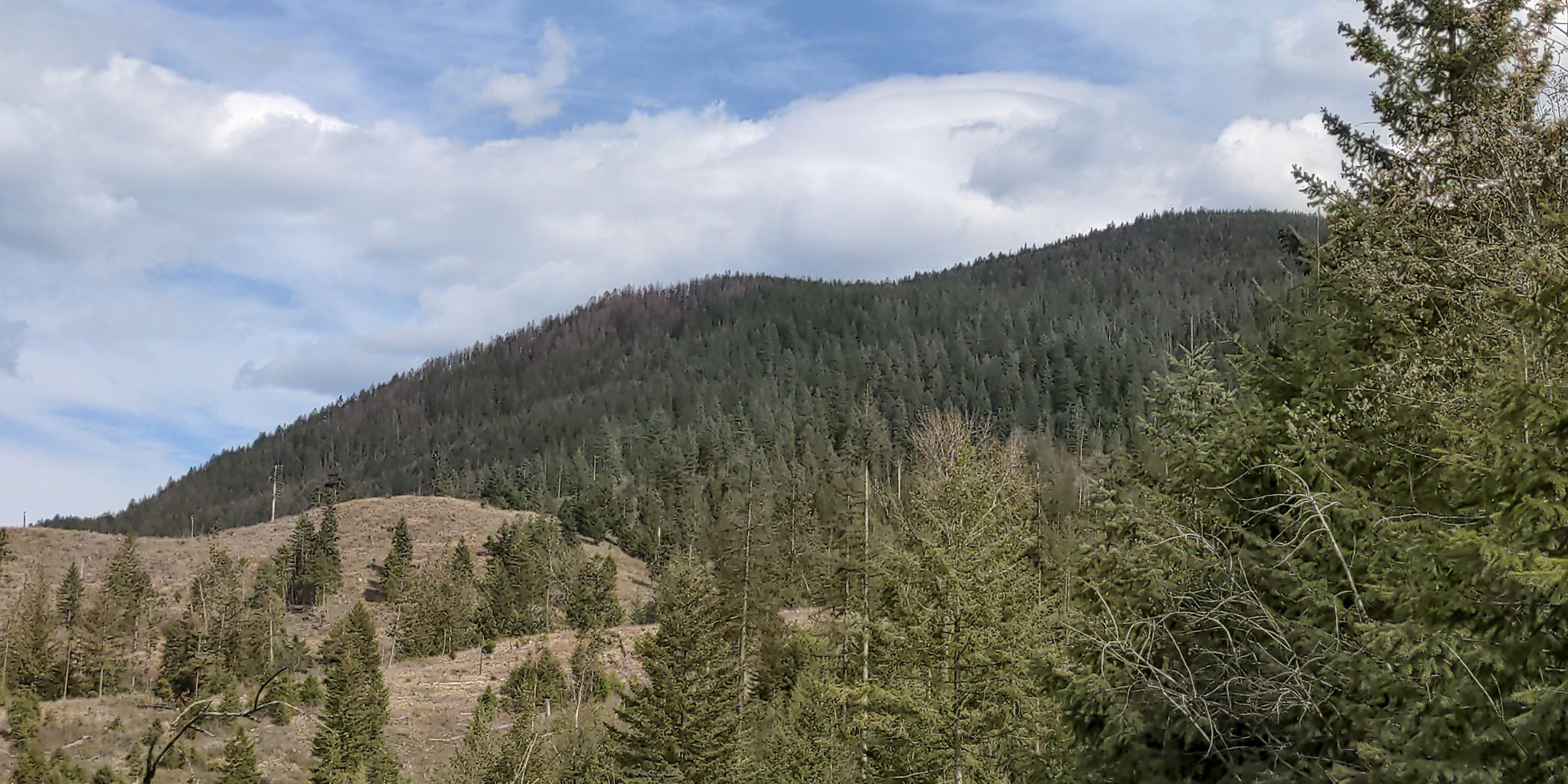 Forested mountain under a partly cloudy sky, with dry hills in the foreground. - Bernard Peak Loop