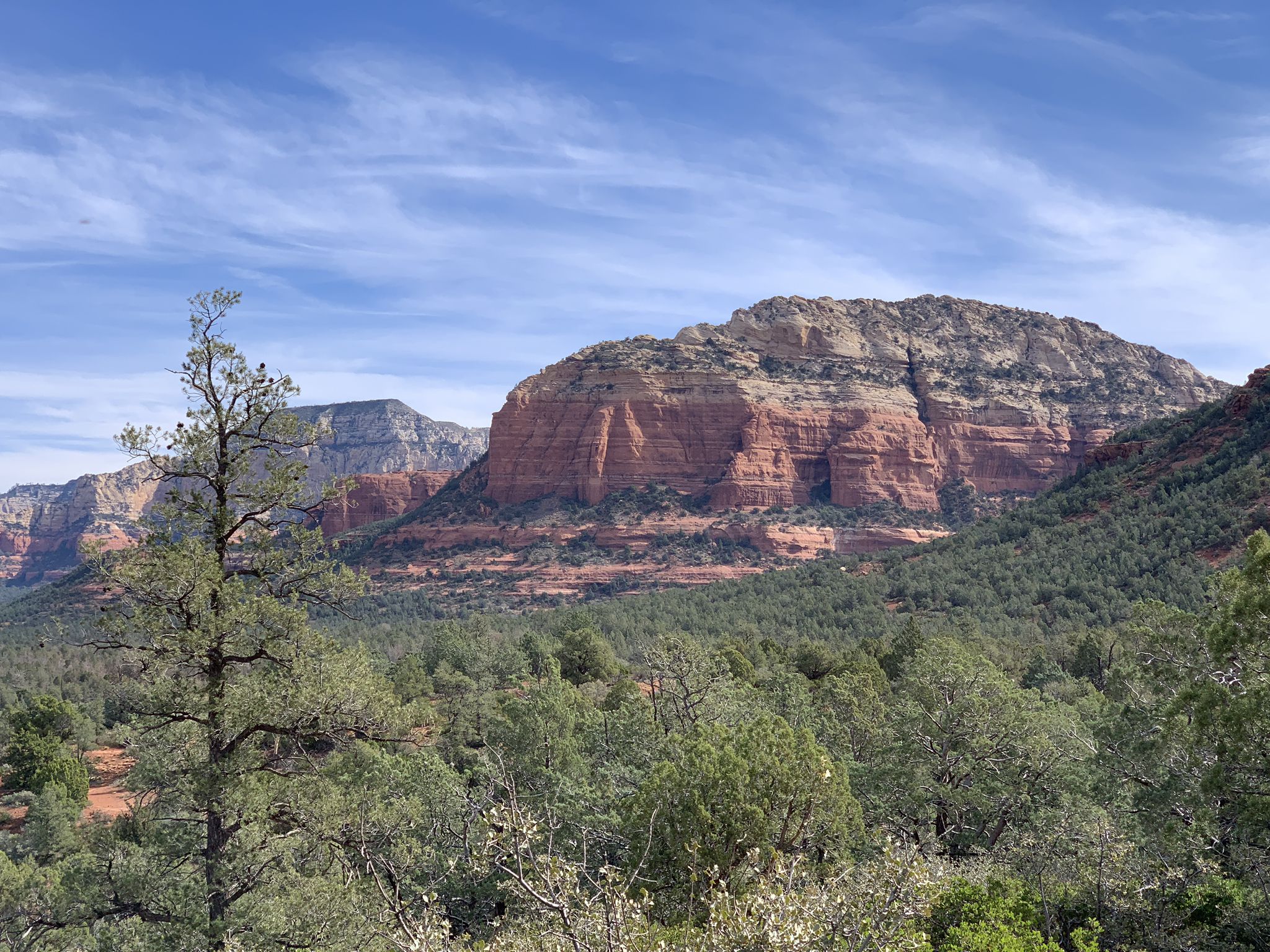 Majestic red rock mountains, green trees, and a bright blue sky. - Devil's Bridge from Chuck Wagon Trail — Coconino National Forest