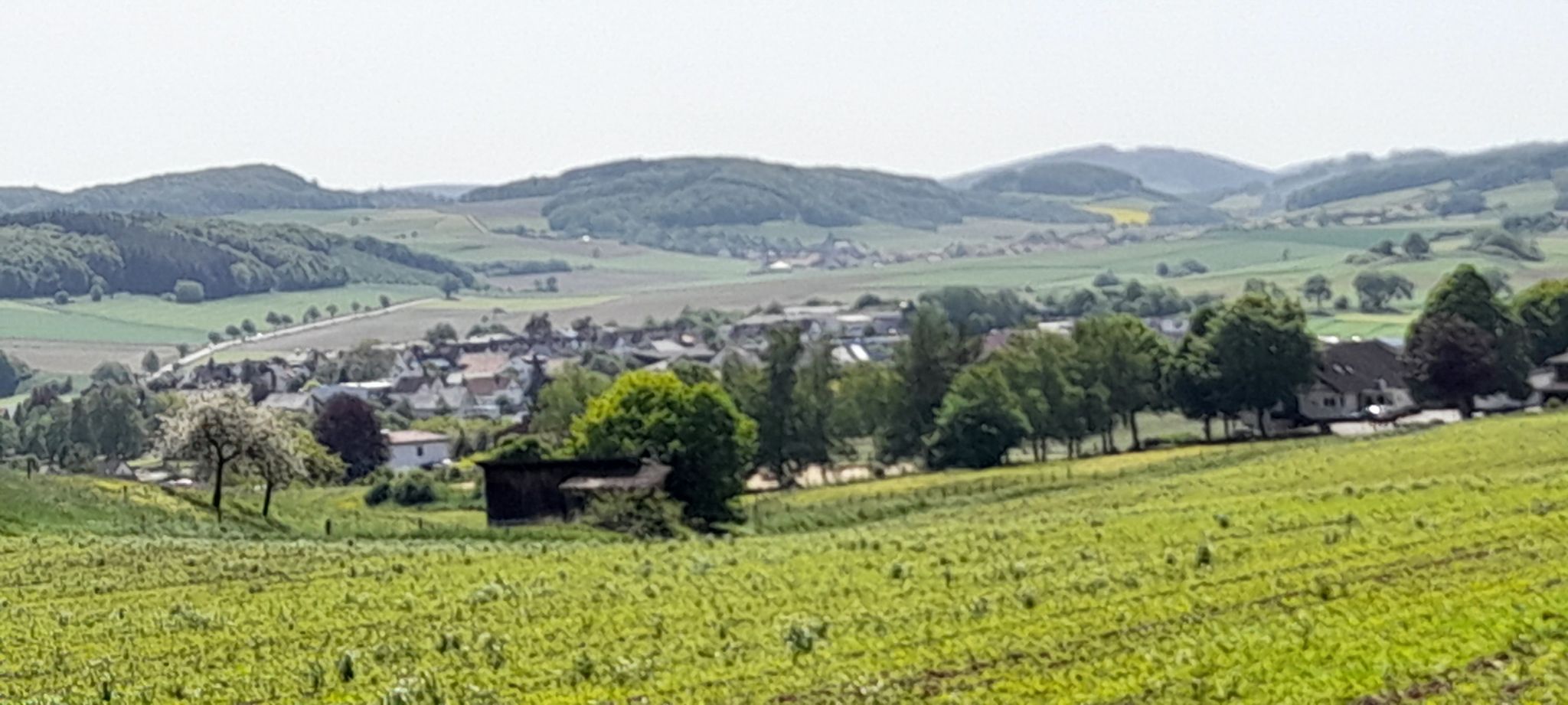 Adorf in Sicht
