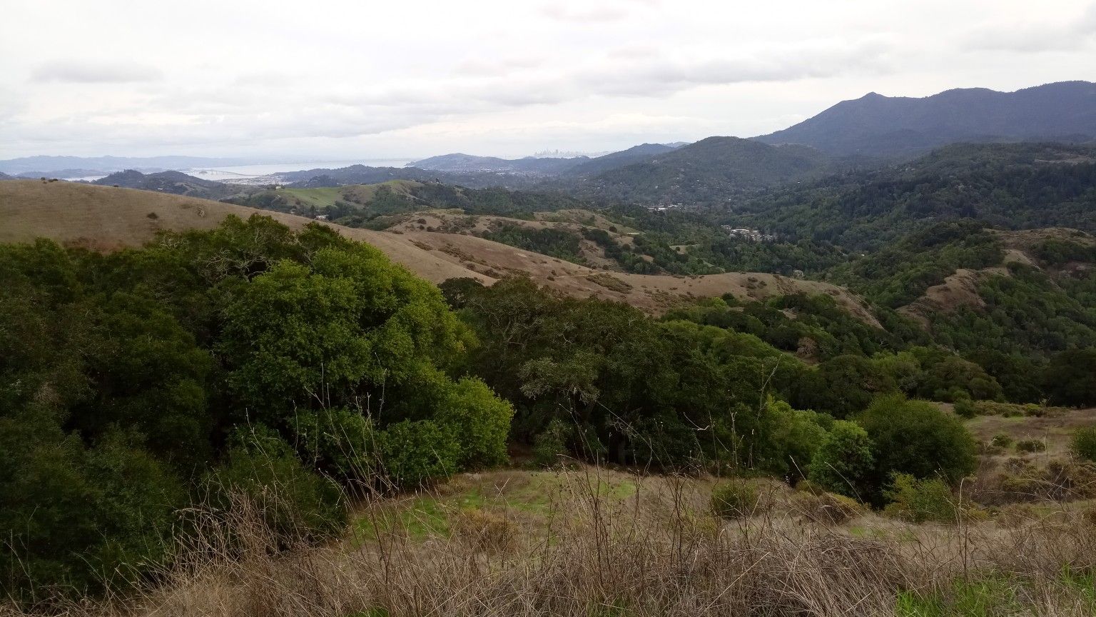 Expansive view of rolling hills and distant water under an overcast sky. - Fairfax – Camp Tamarancho Trailhead loop from Fairfax