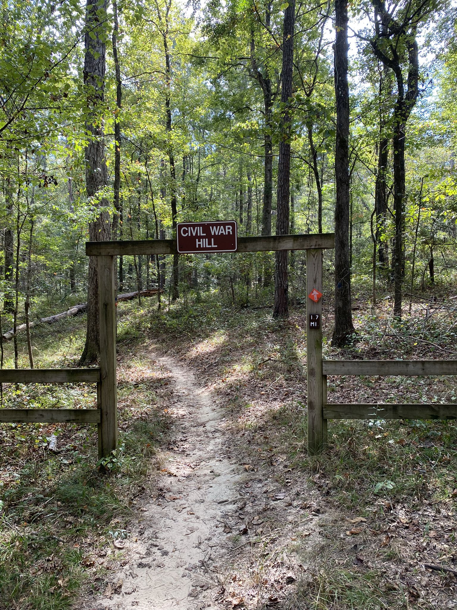 A dirt path leads through a wooden archway into a sunlit, dense forest. - Rolling Hills Trail