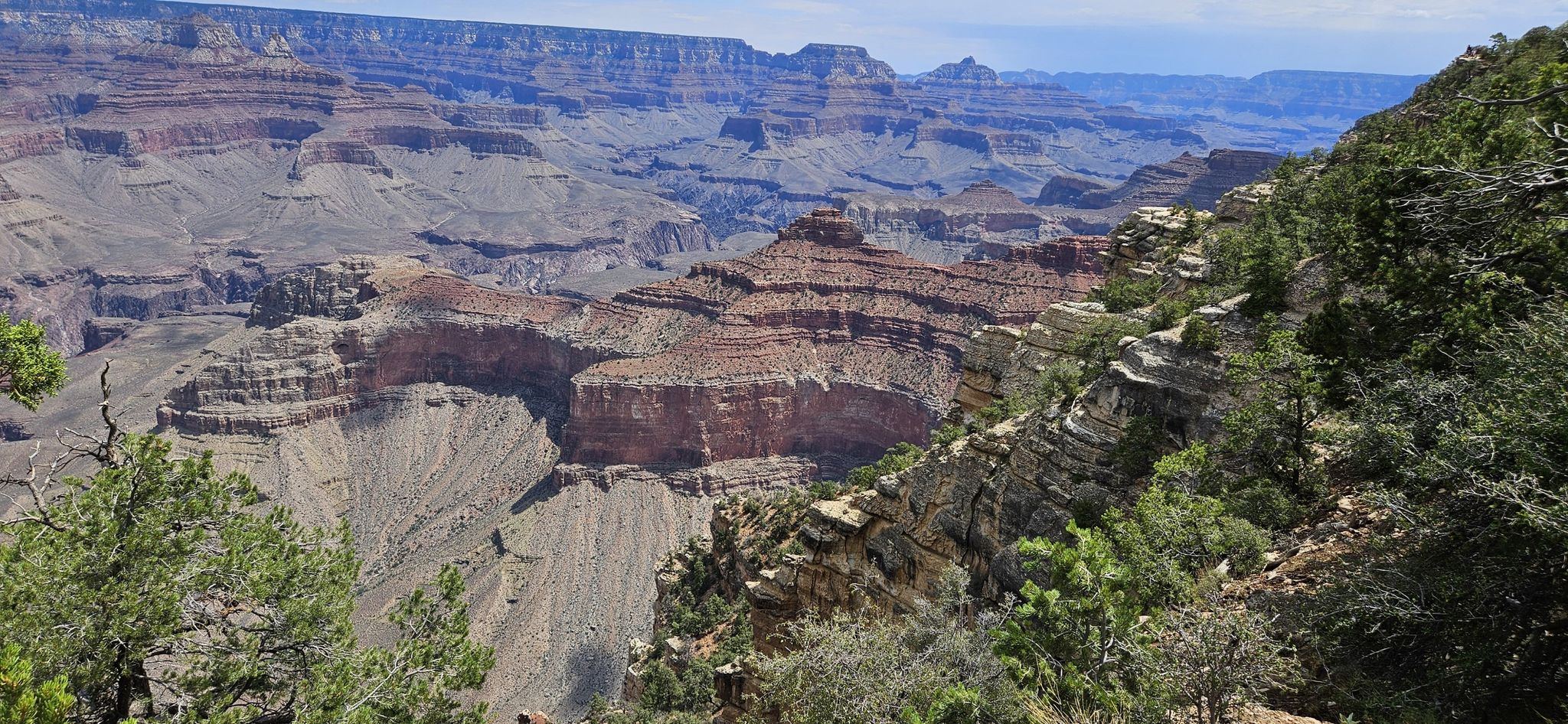 Deep canyon with intricate rock formations and green trees under a blue sky. - Mather Point Viewpoint – Grand Canyon loop from Grand Canyon Village