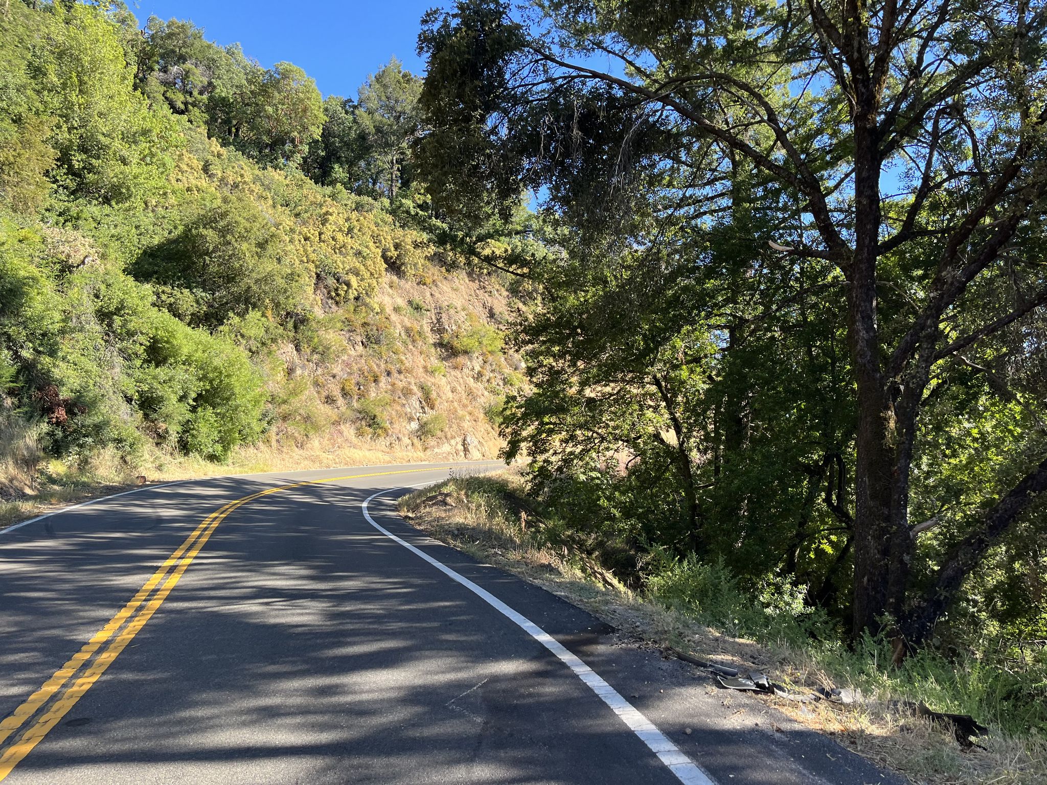 A winding paved road curves alongside a steep, green forested hillside. - Saratoga Gap – Toll Gate Road loop from Campbell