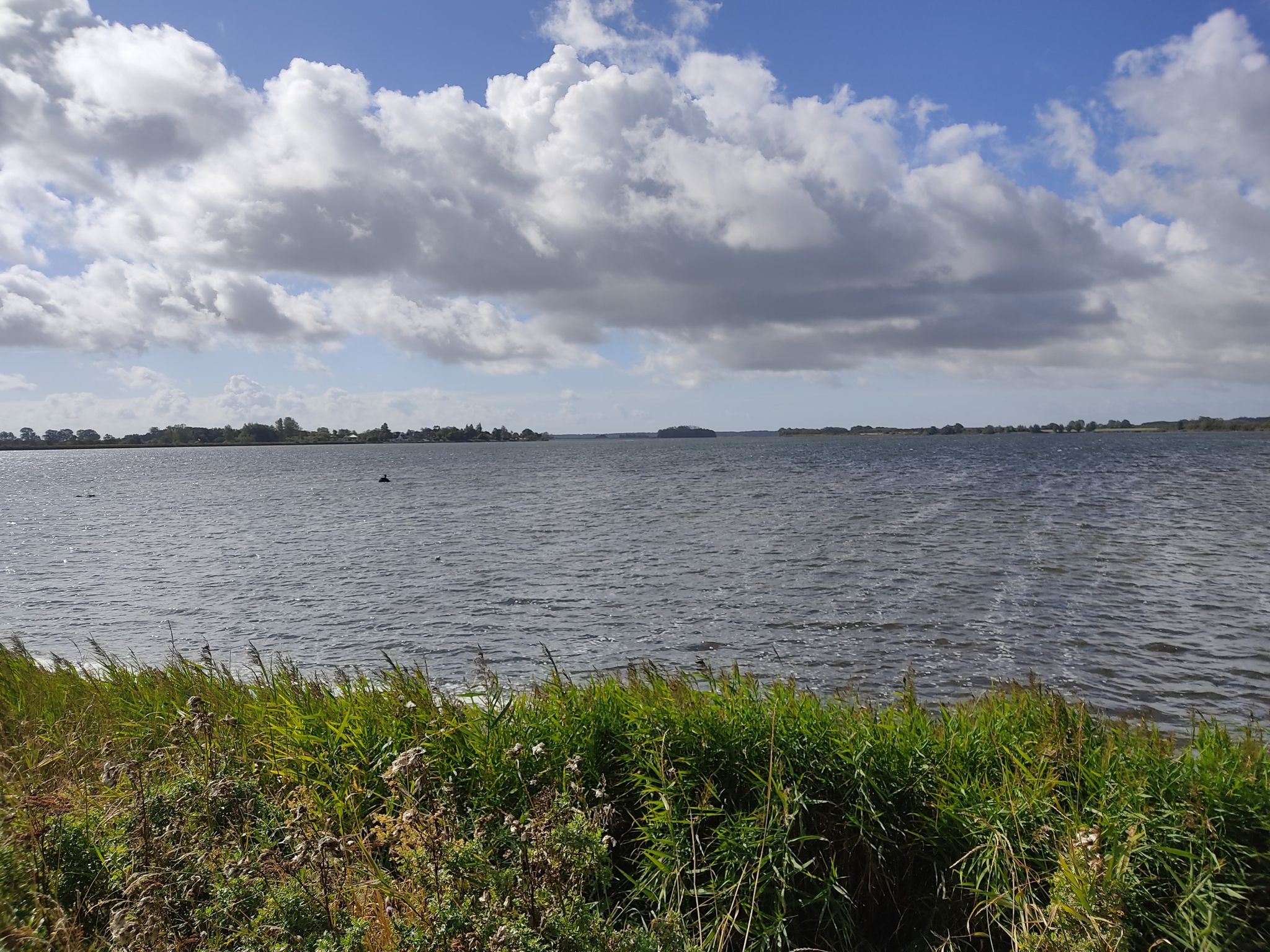 Blick aufs Wasser