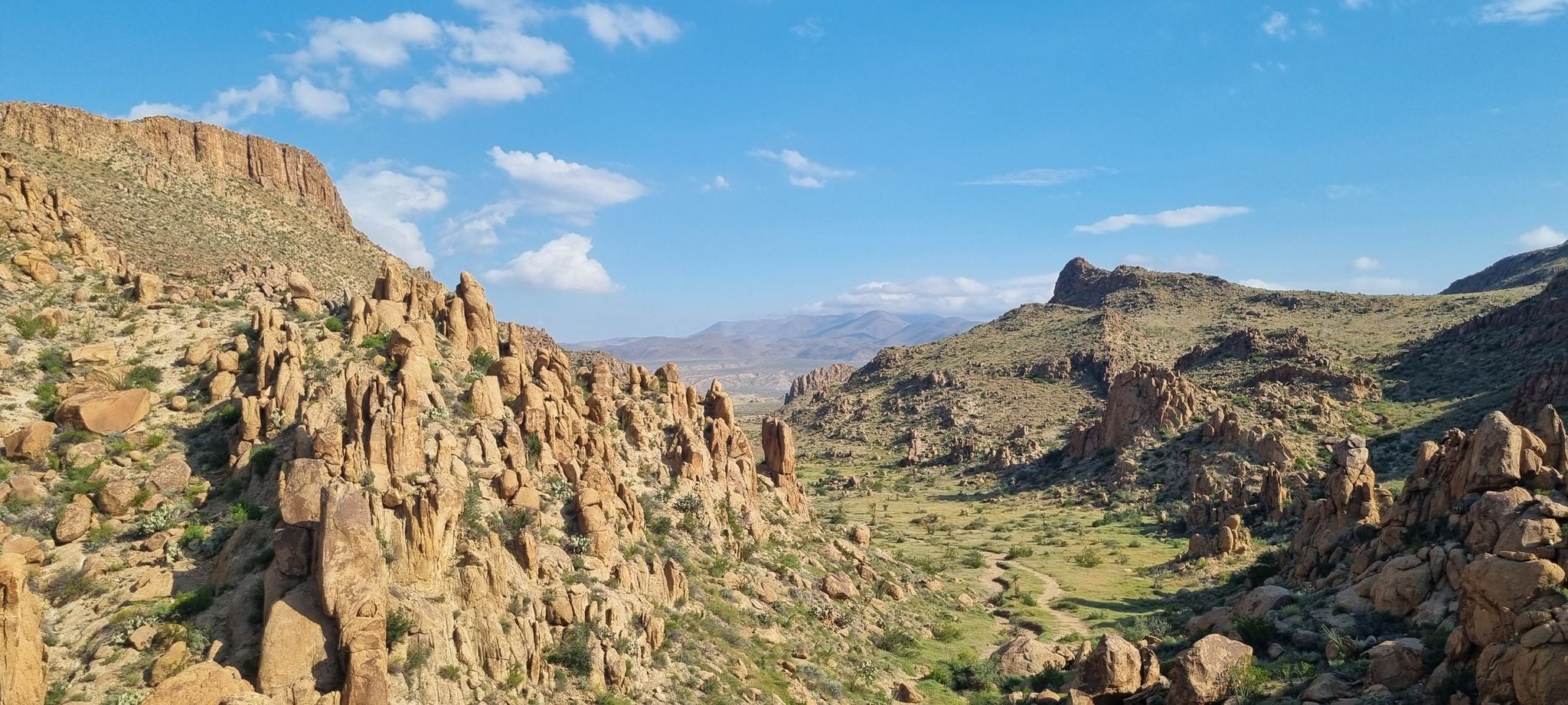 Rocky desert valley with green shrubs under a bright blue sky. - Balanced Rock Trail