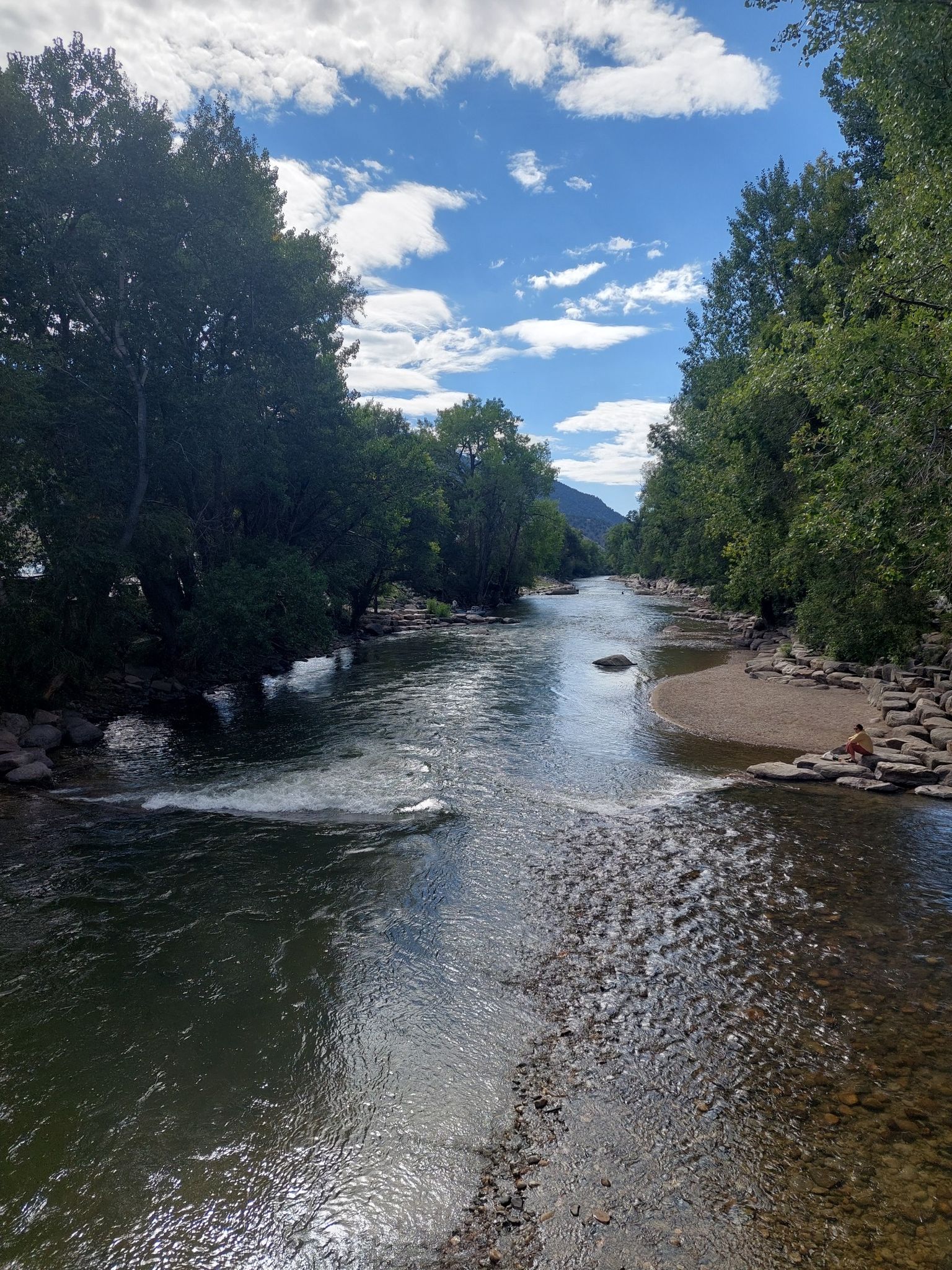 A person sits by a clear river flowing through green trees on a sunny day. - Riverside Park – Along the Arkansas River loop from Salida