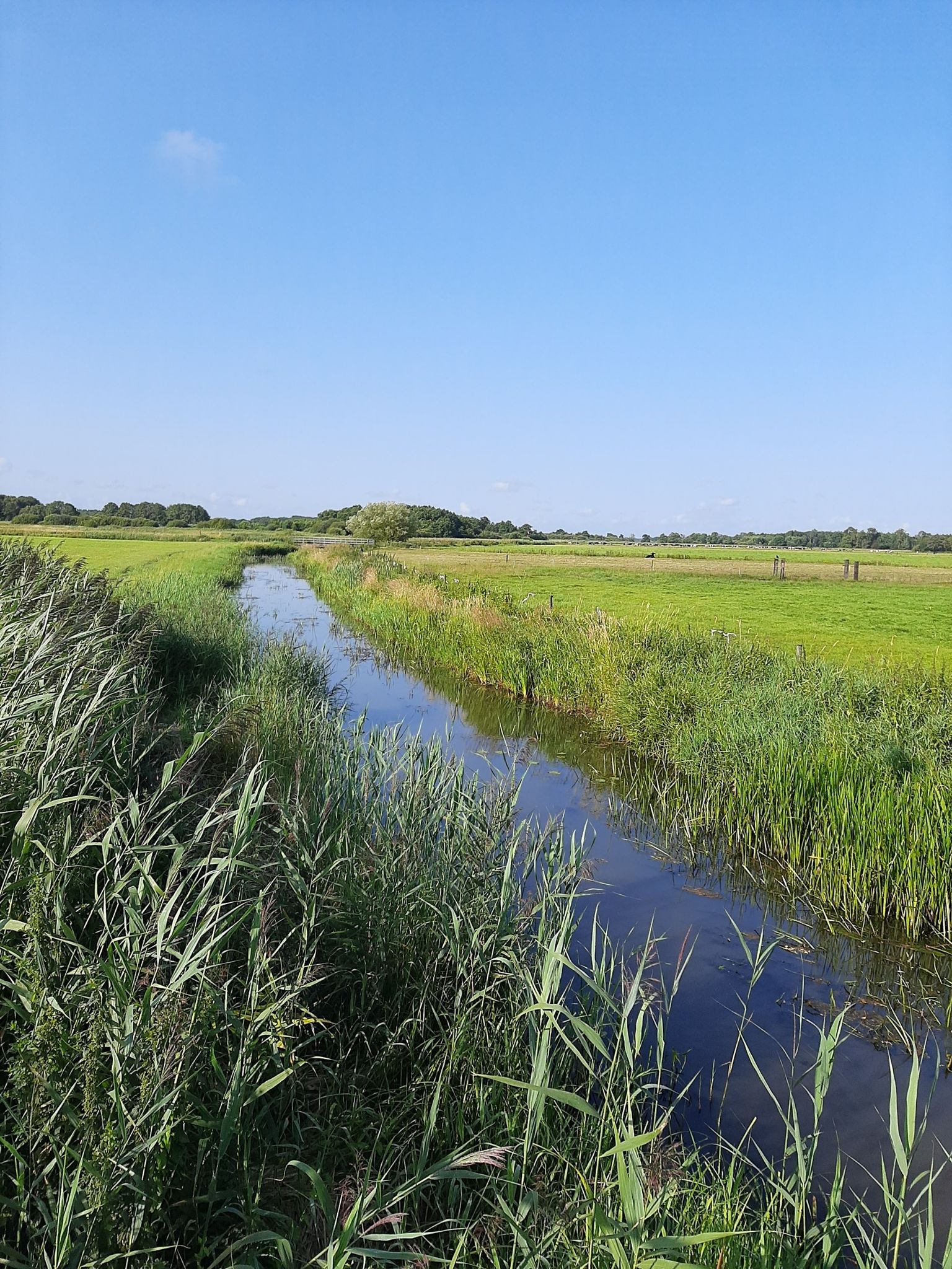 de Lende...die ga ik een eindje volgen