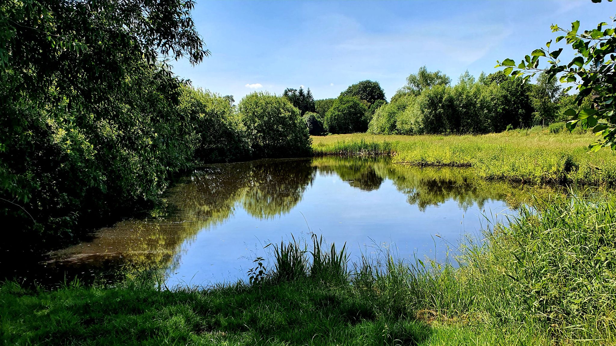 schattige Trinkpause an nettem Teich