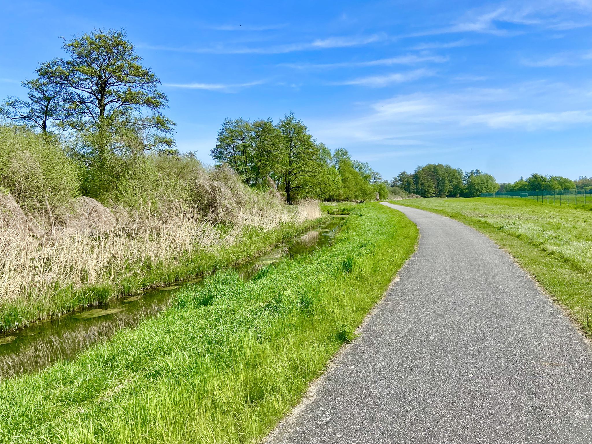 Radweg am Geronsee