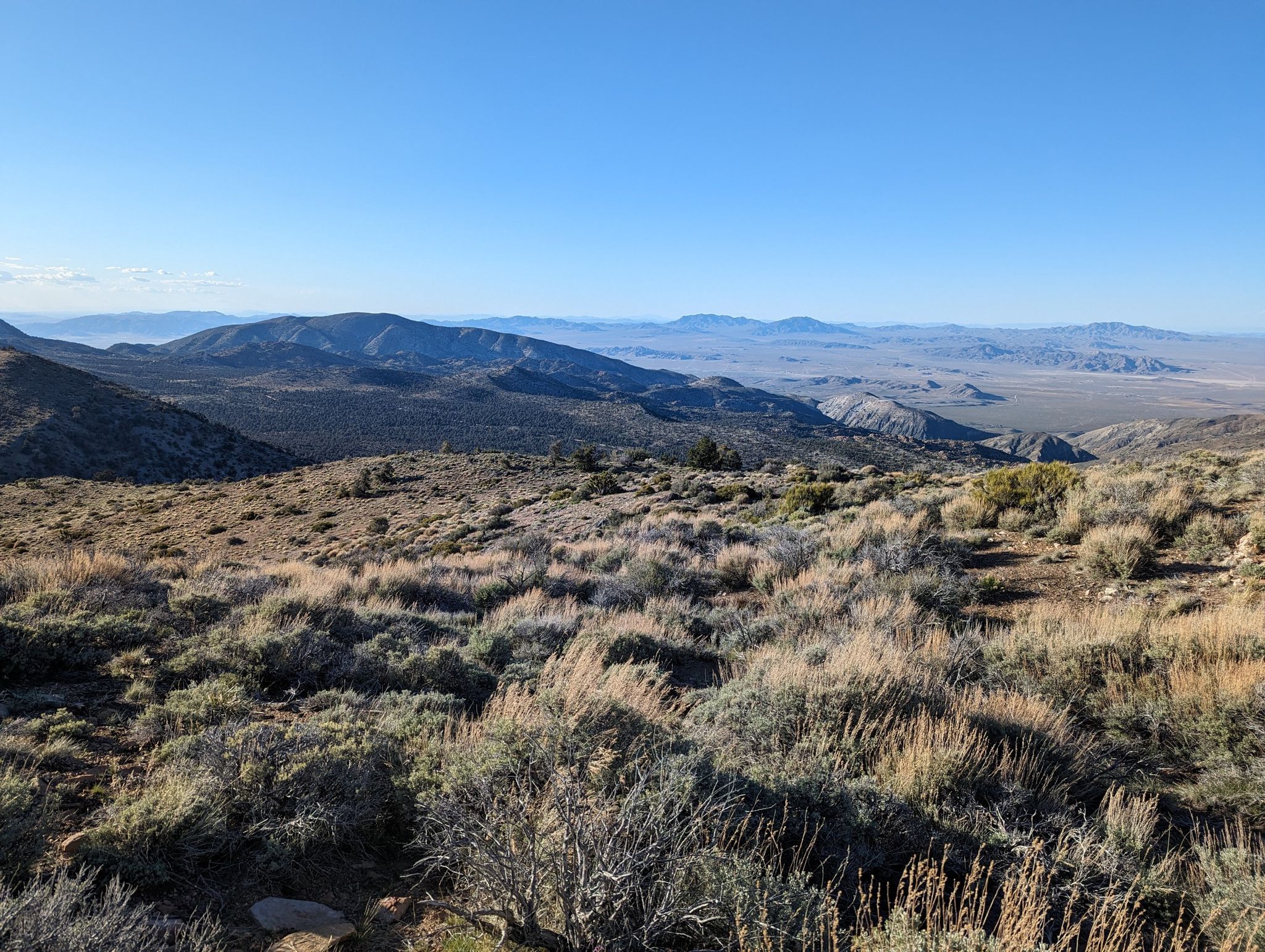 Vast desert landscape with scrub brush and distant mountains under a clear sky. - Pacific Crest Trail, Hermonator Donkey Trail, and Arrastre Creek Road Loop