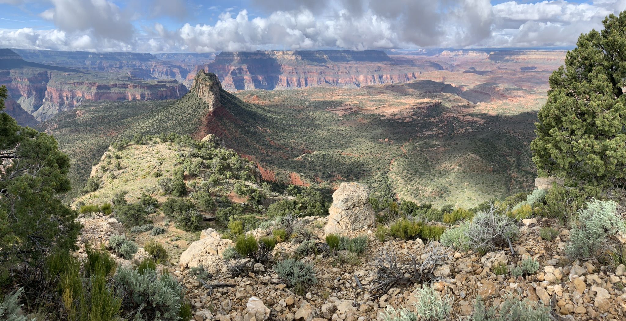 Panoramic view of a vast canyon landscape with green trees and distant rock formations. - Bill Hall Trail