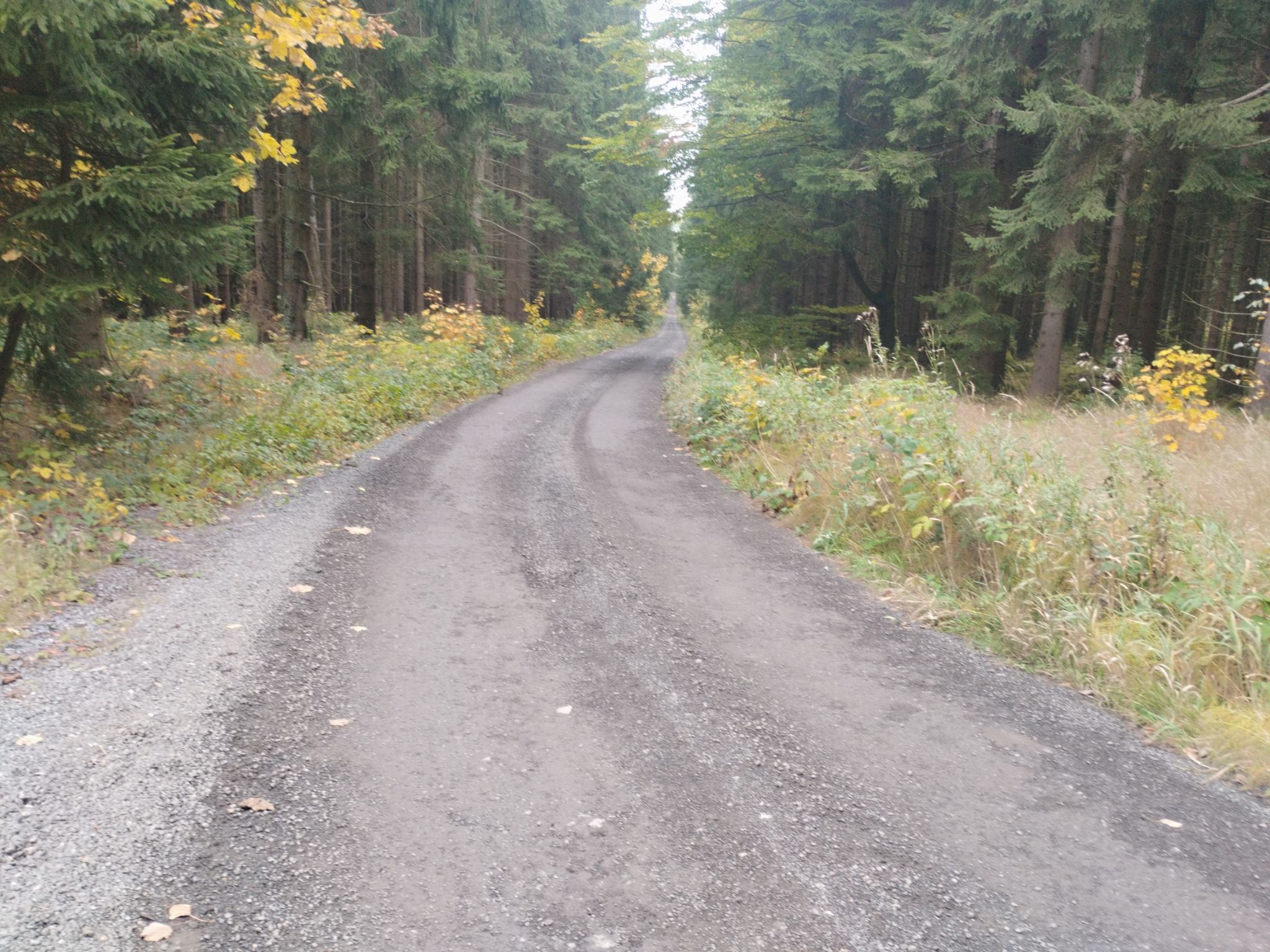 alte Militärstraße, Radweg 315