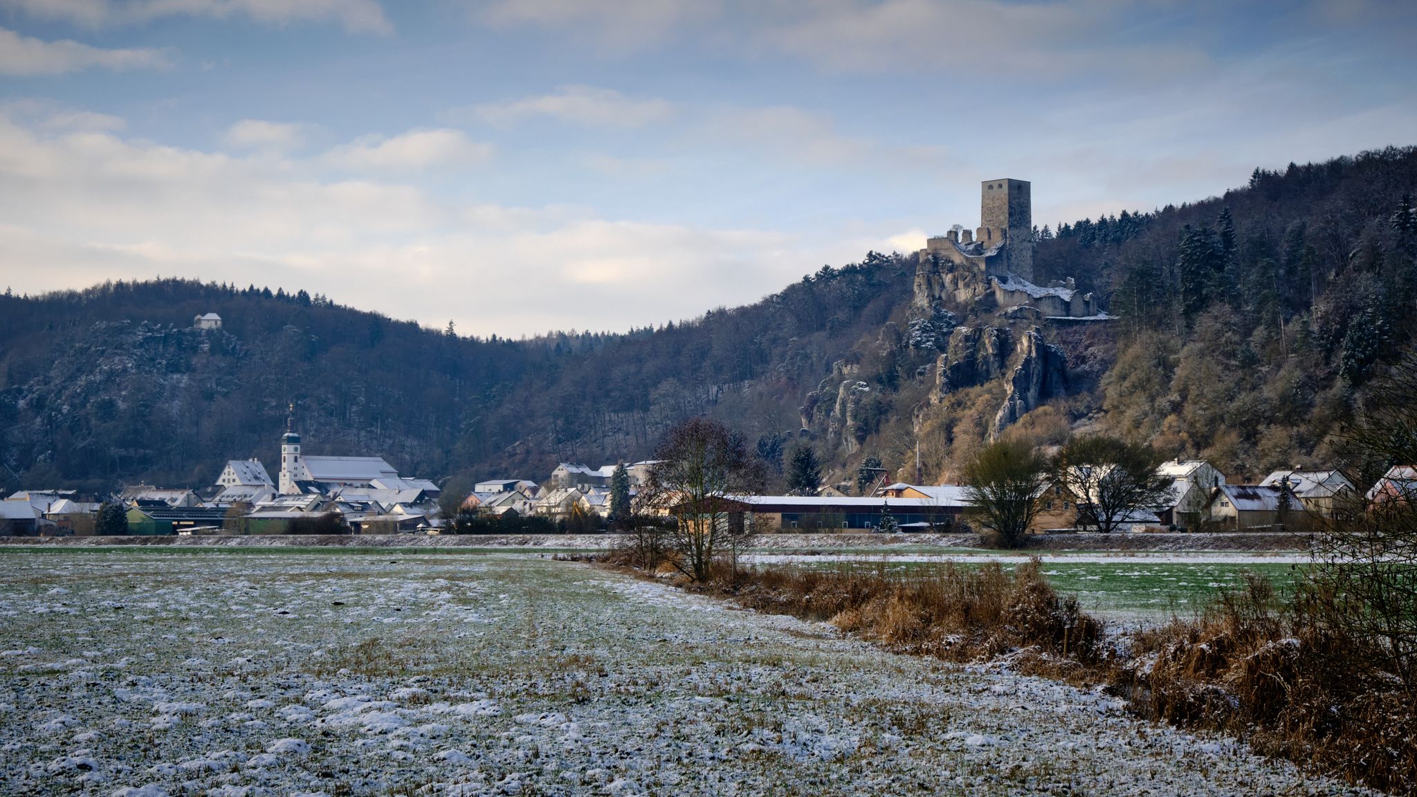 Wellheim mit Burg(ruine)