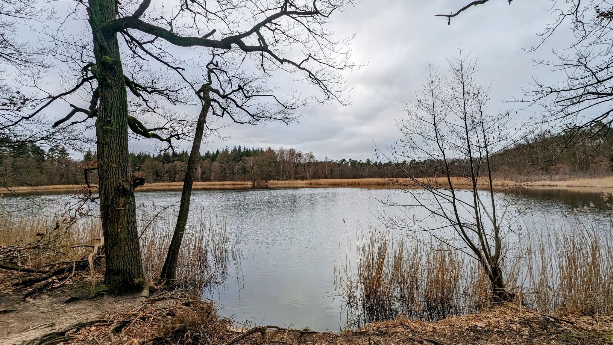 Papillensee