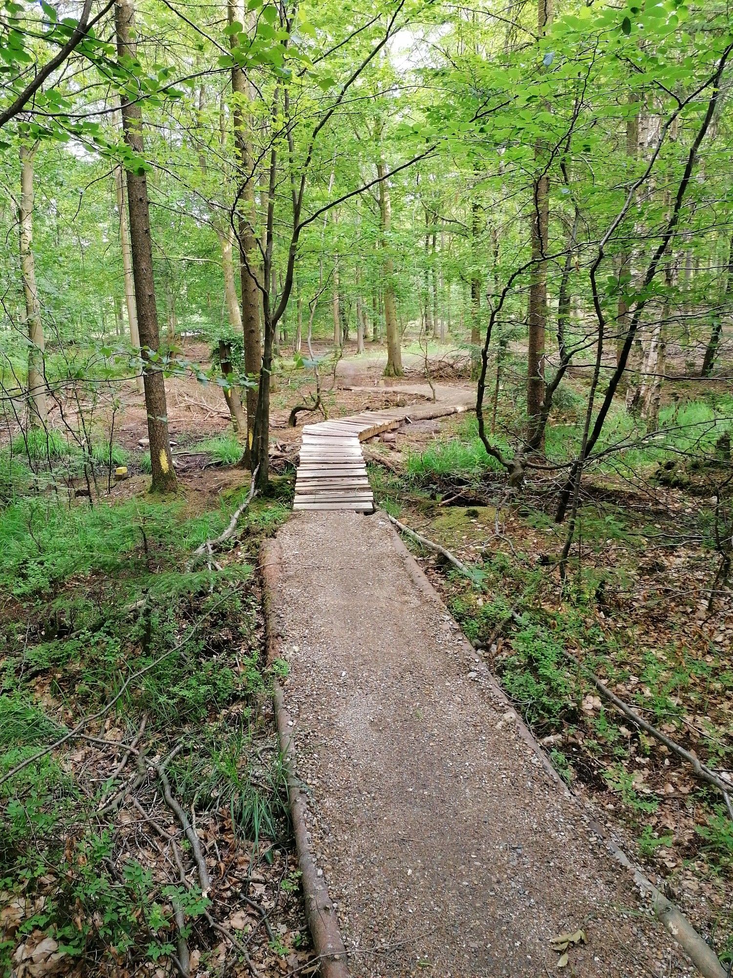 Tolle Strecke 