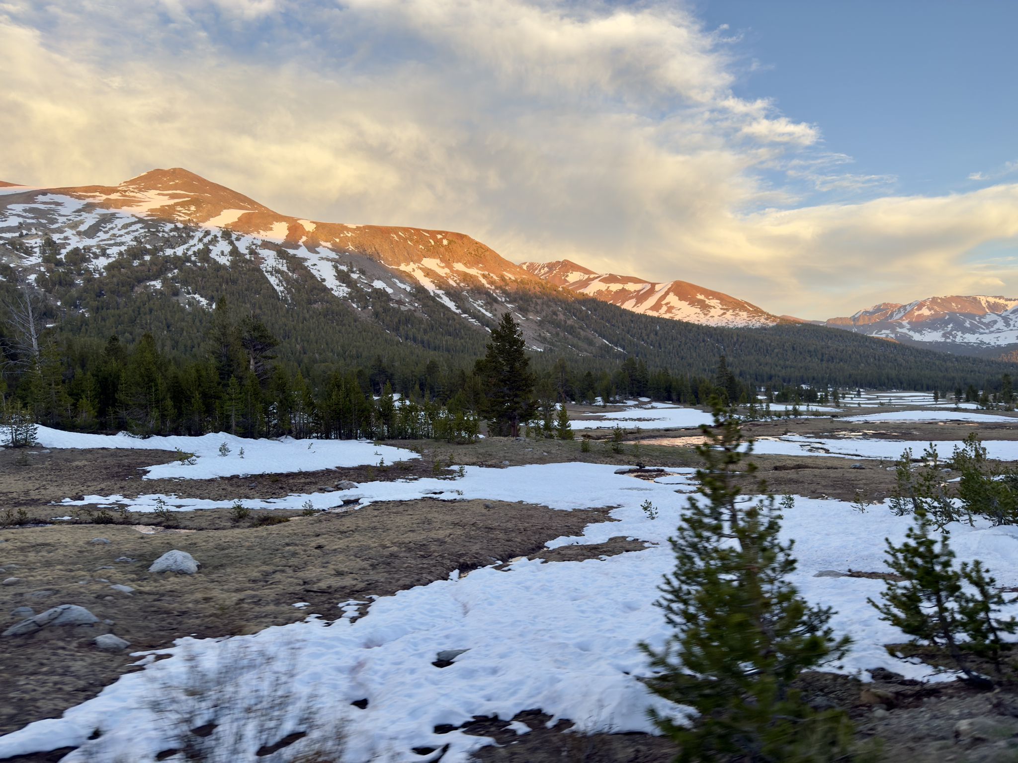 Snowy mountains at sunset, with evergreen trees and patches of snow. - From Tioga Pass to Olmsted Point and back