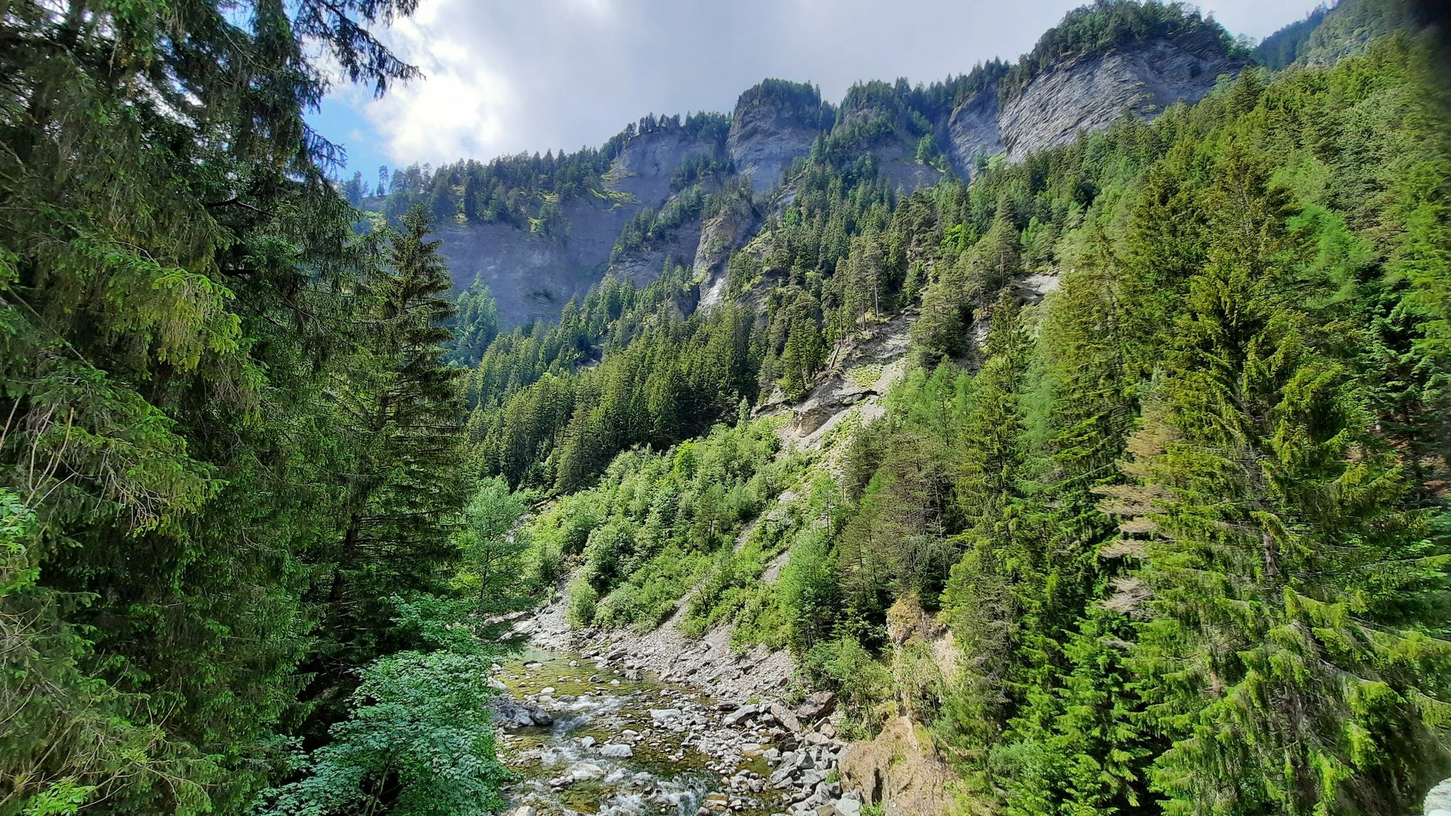 Der junge Rhein