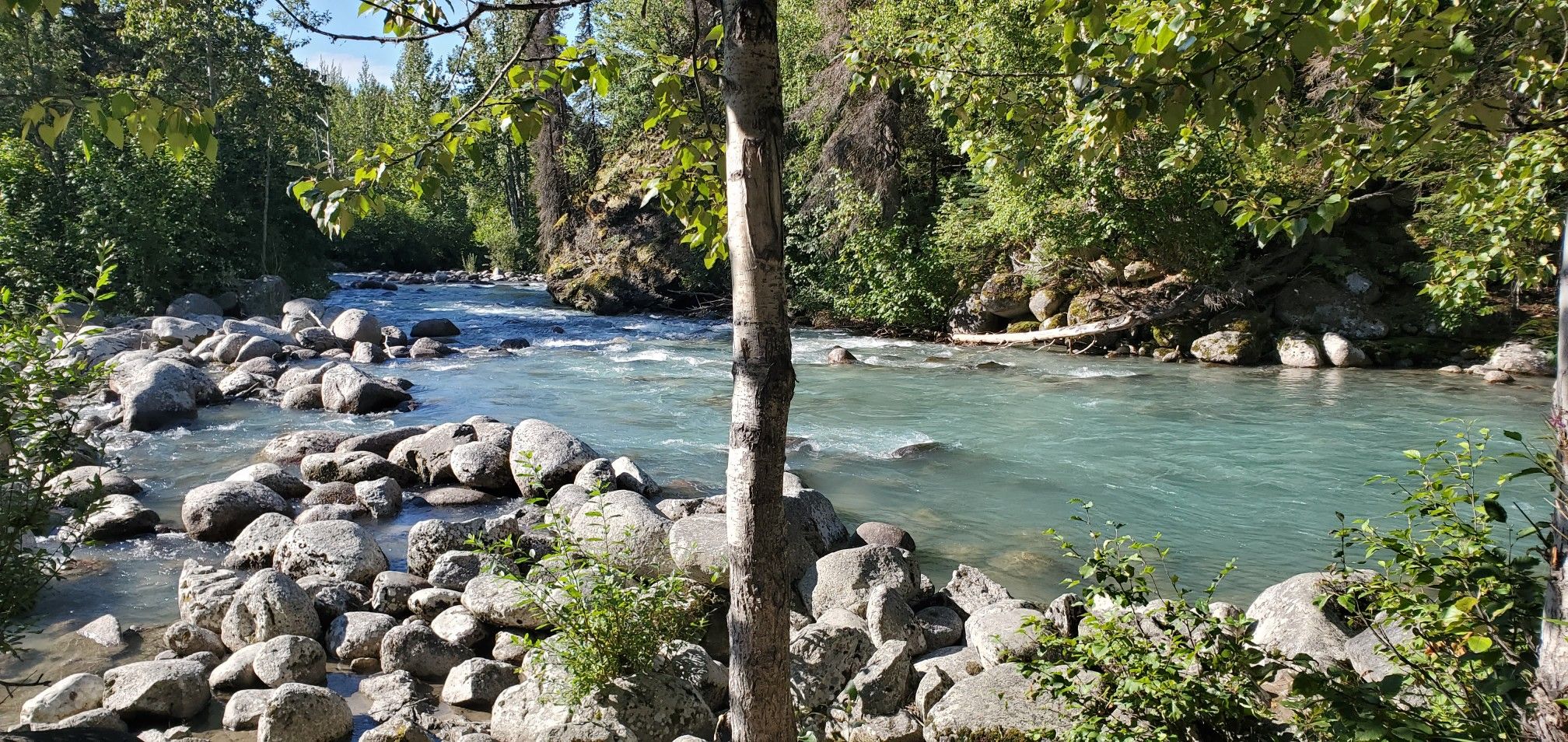 Clear river flowing over rocks through a lush green forest. - Roadbike loop from Gateway