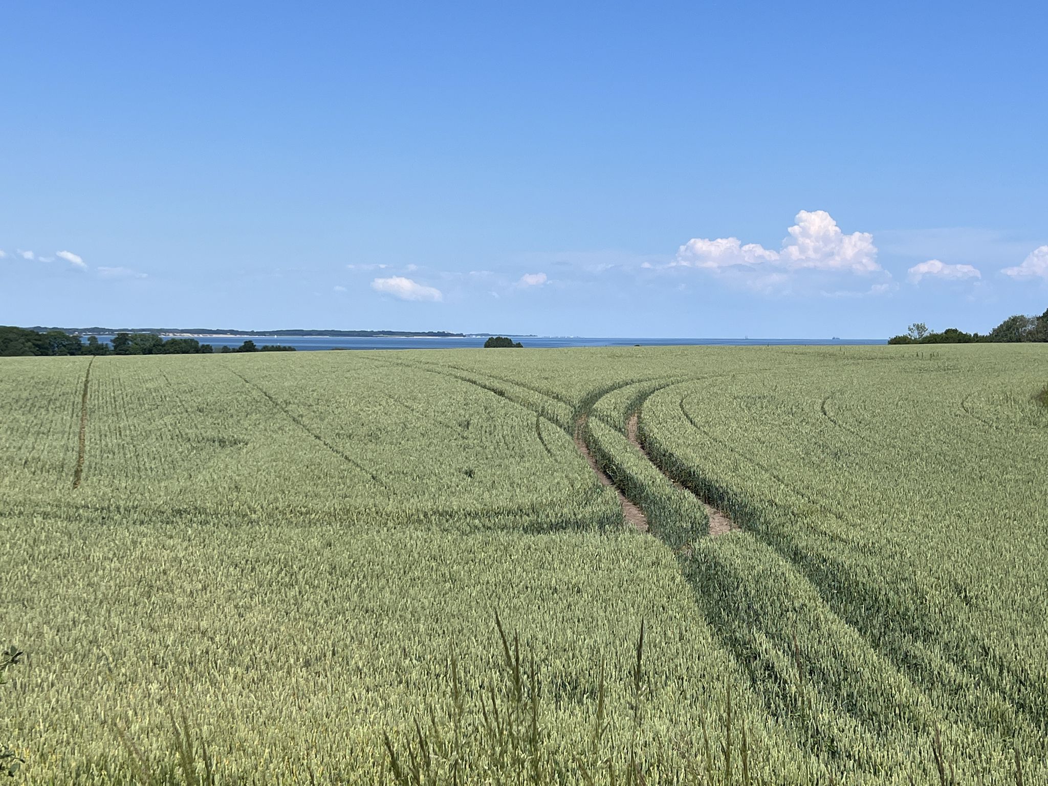 Grönwohld, entfernter Blick auf die Eckernförder Bucht