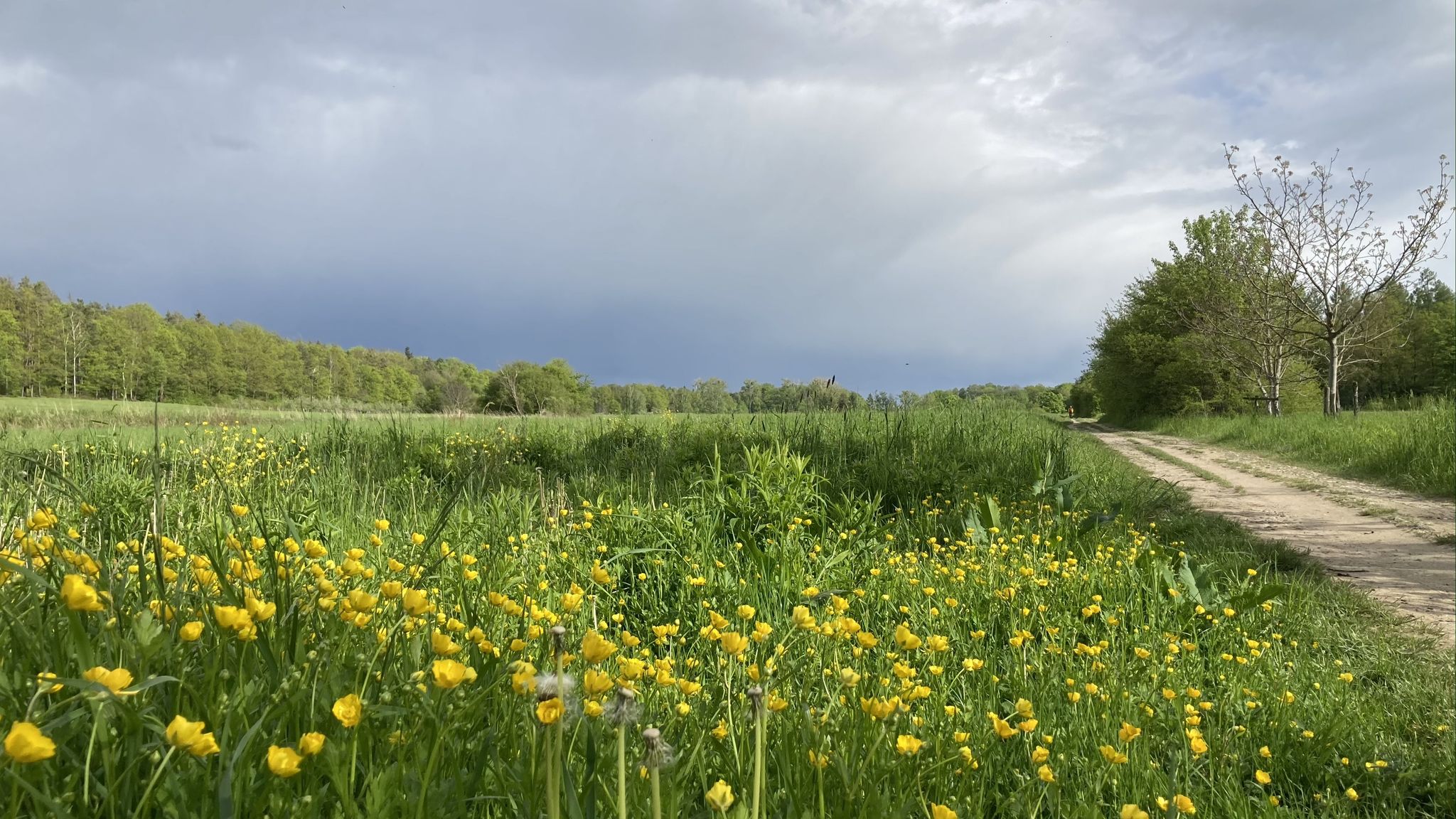 Bedrohliche Regenwolken - an der Hofewiese