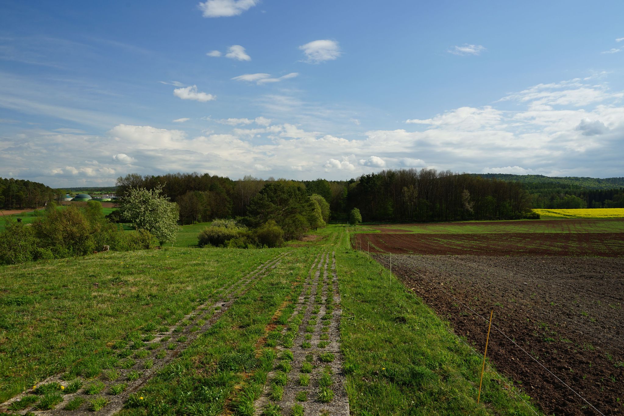 Kolonnenweg mit Blick in Richtung Naturschutzgebiet