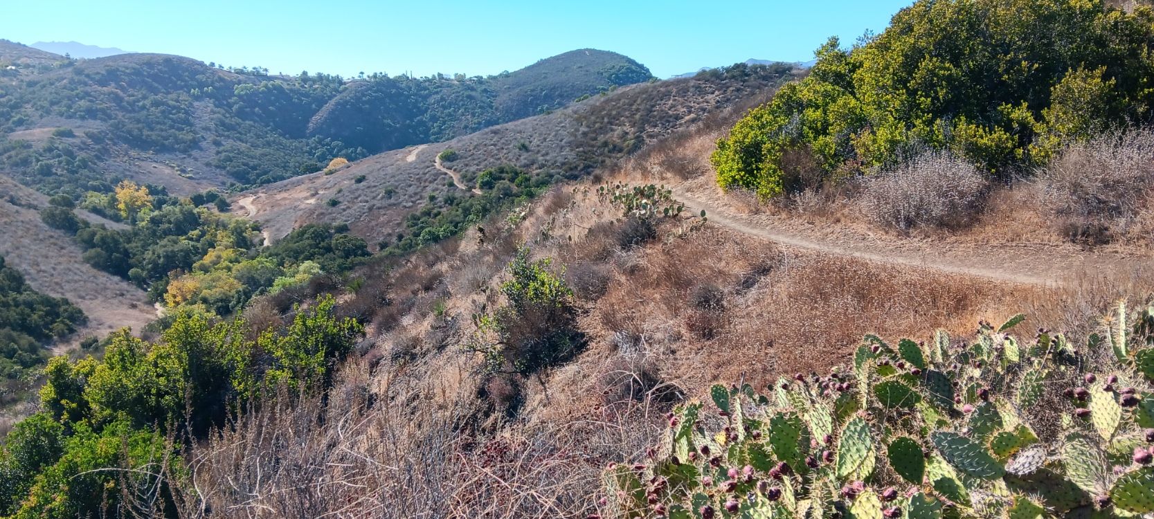 Winding dirt trail on a sunny, brush-covered hillside with a valley below. - Lizard Rock and Paradise Falls Loop