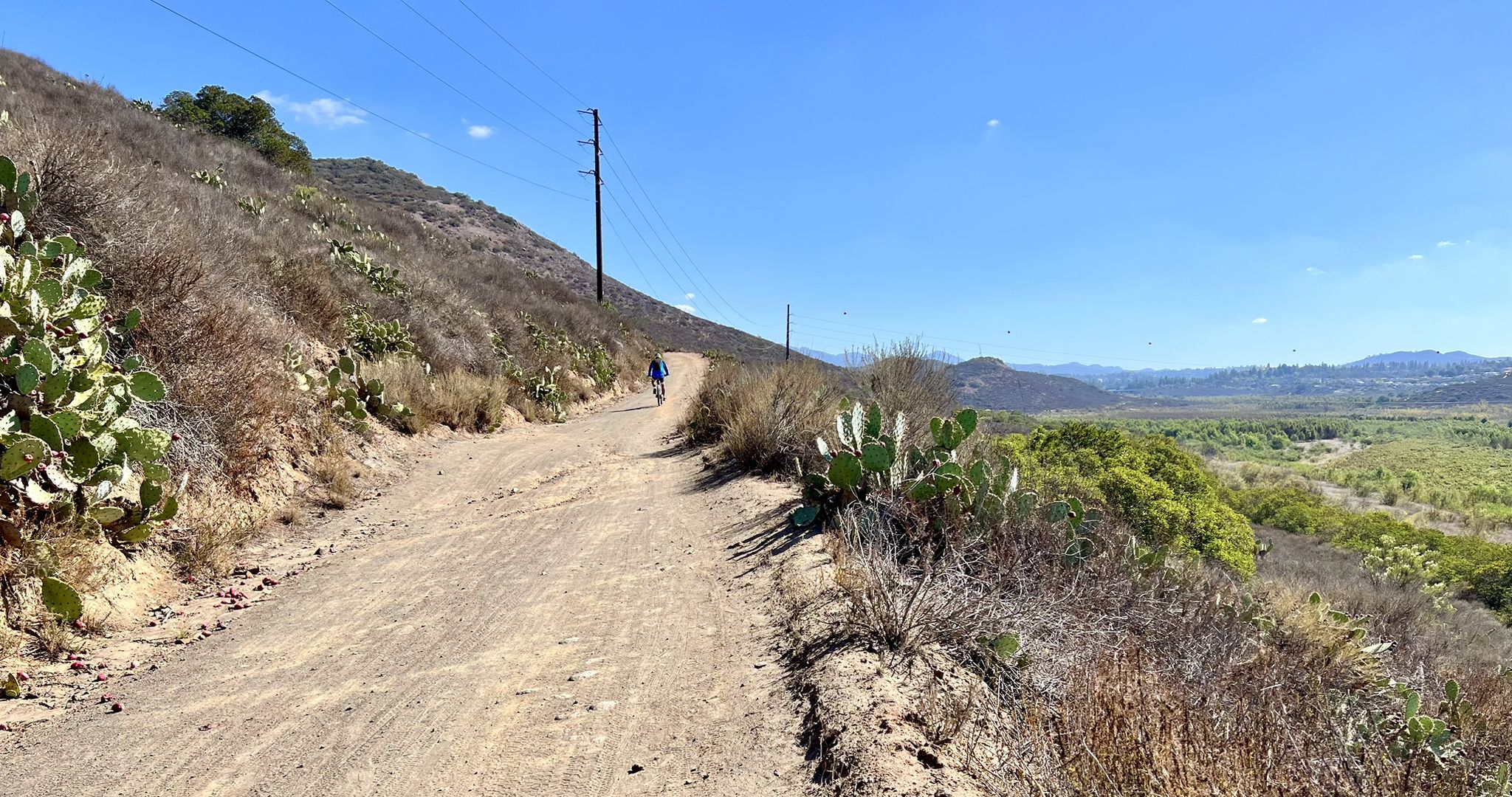 A person cycles on a sunny dirt path beside arid hills and cacti. - Coast to Crest Trail – Swami's Seaside Park loop from Encinitas Station