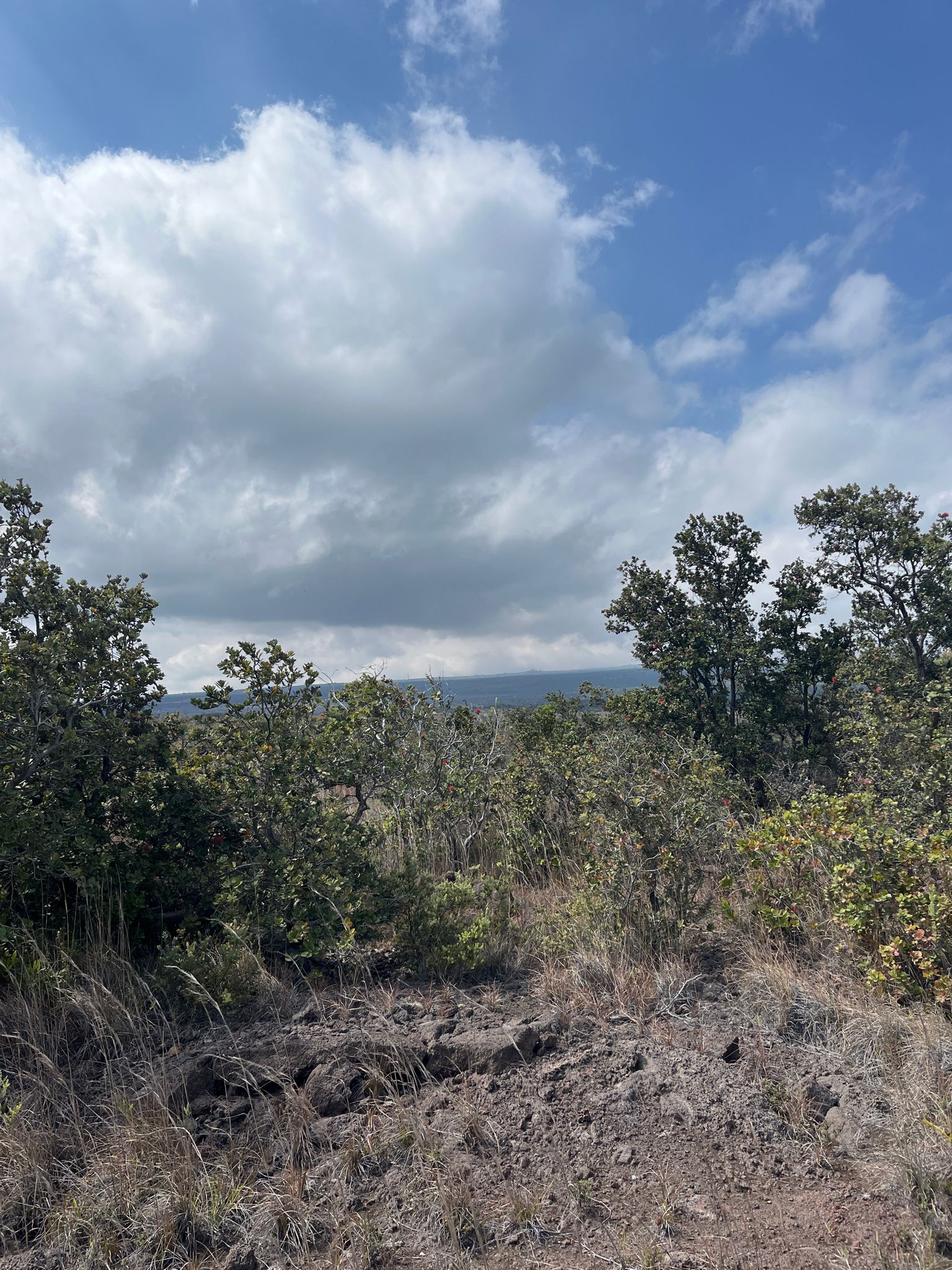 Rocky, sparse landscape with green trees under a partly cloudy sky. - Pu'u o Lokuana Trail