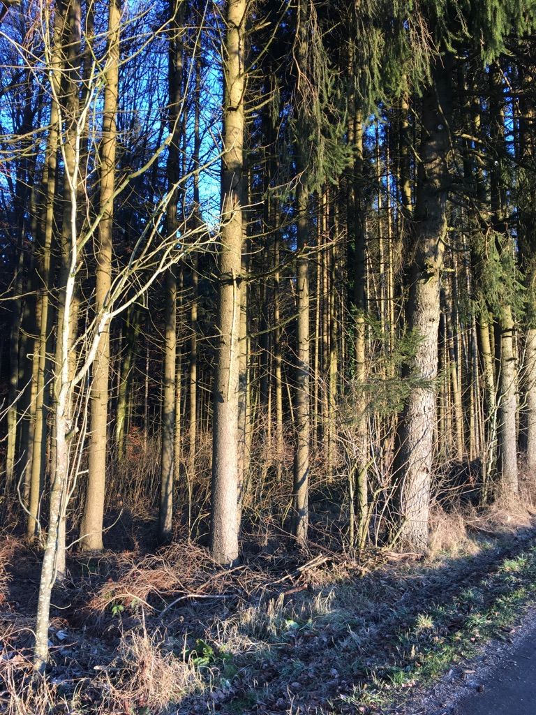 Dorfrunde 