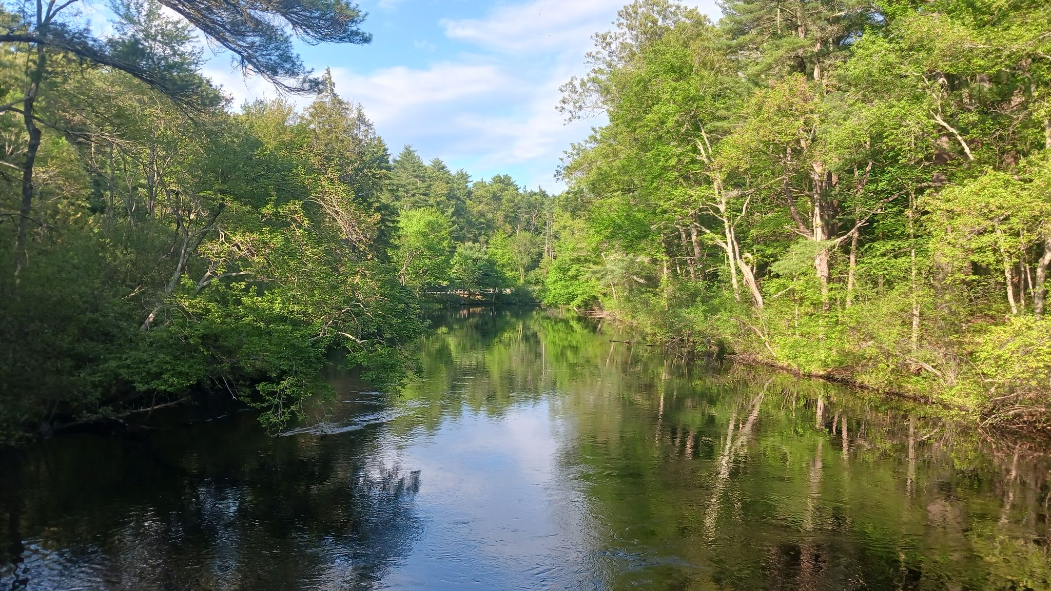 Calm river flowing through a lush green forest under bright skies. - Bridge – Topsfield Linear Common loop from Danvers