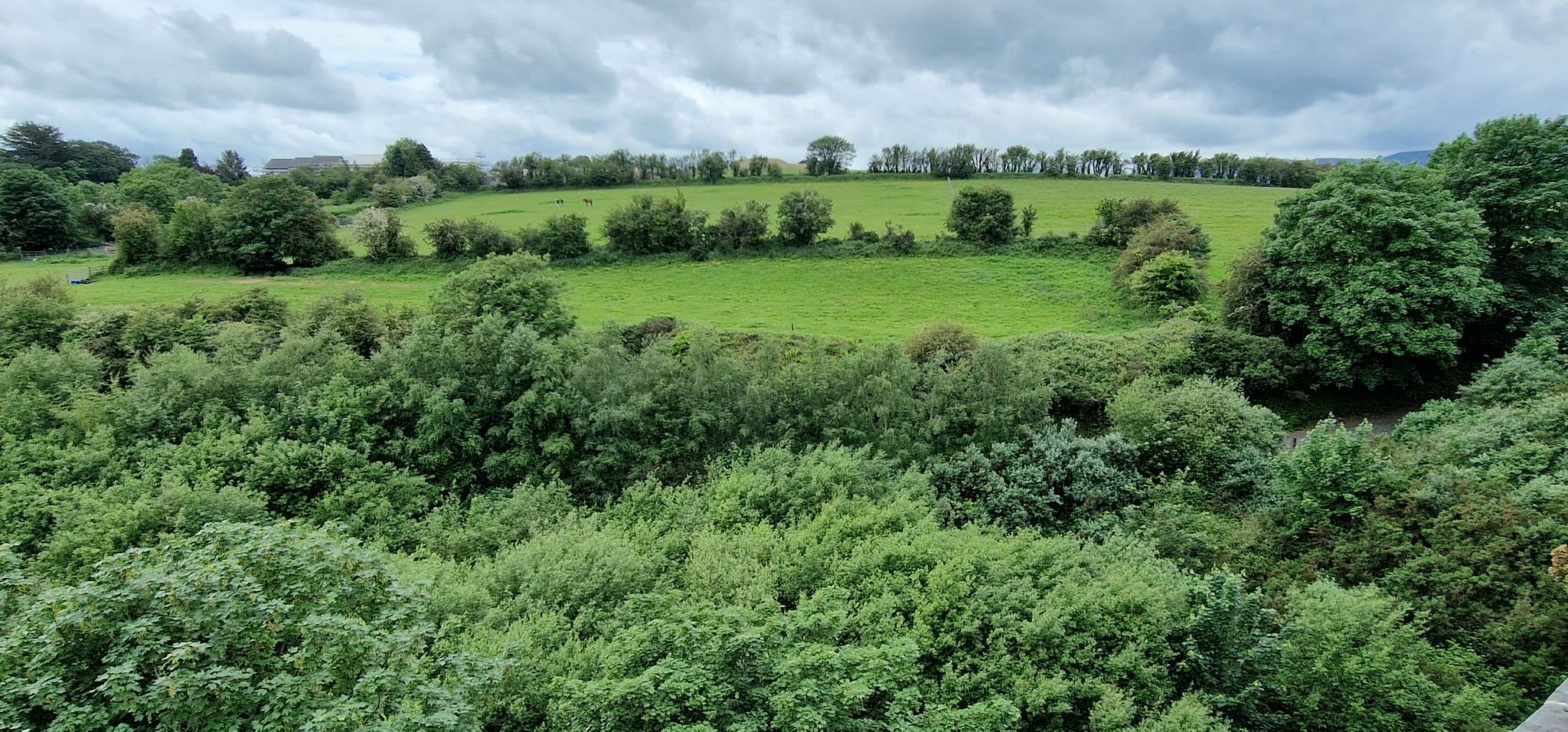 Irische Landschaft 