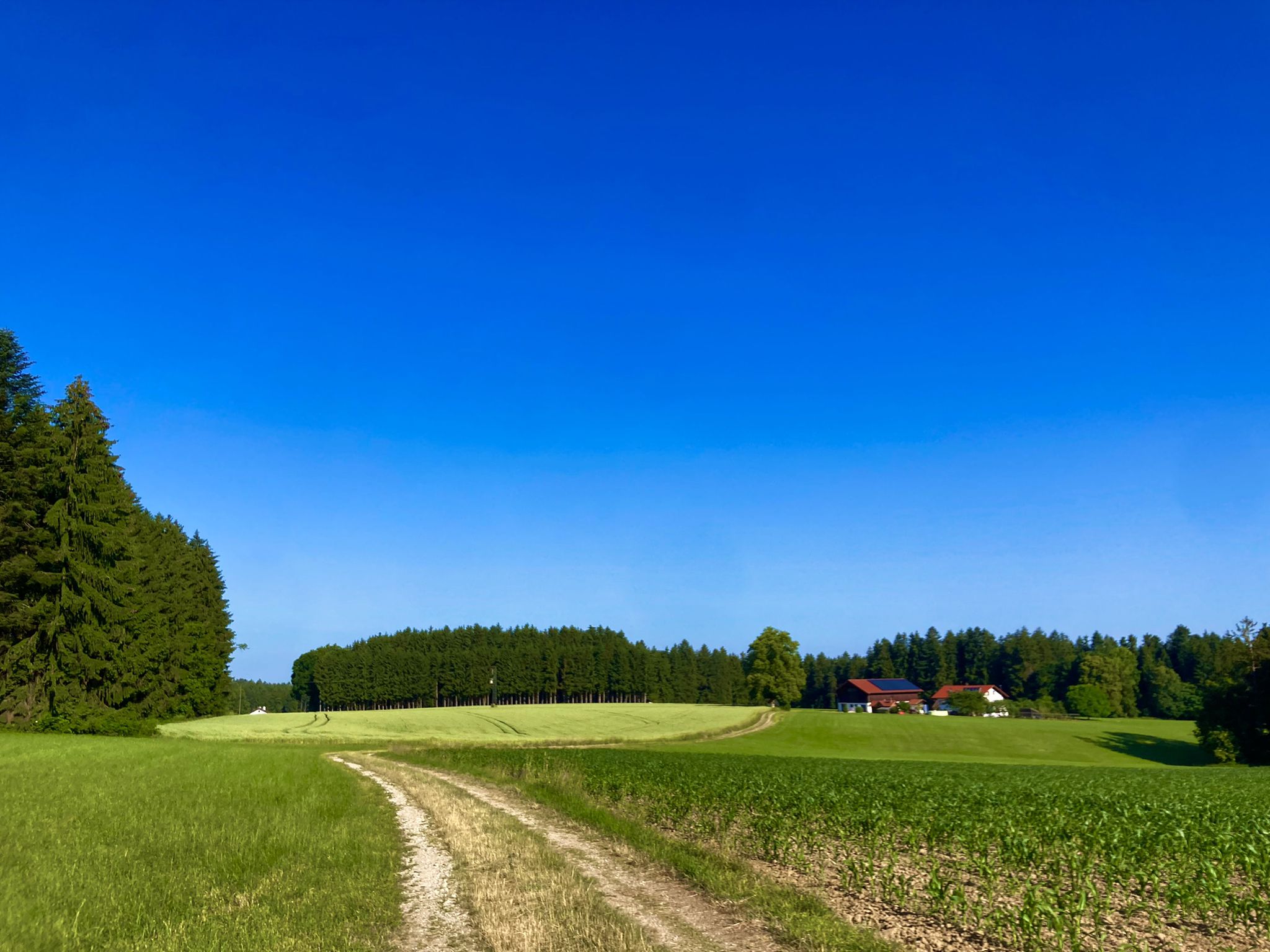 Feldwege