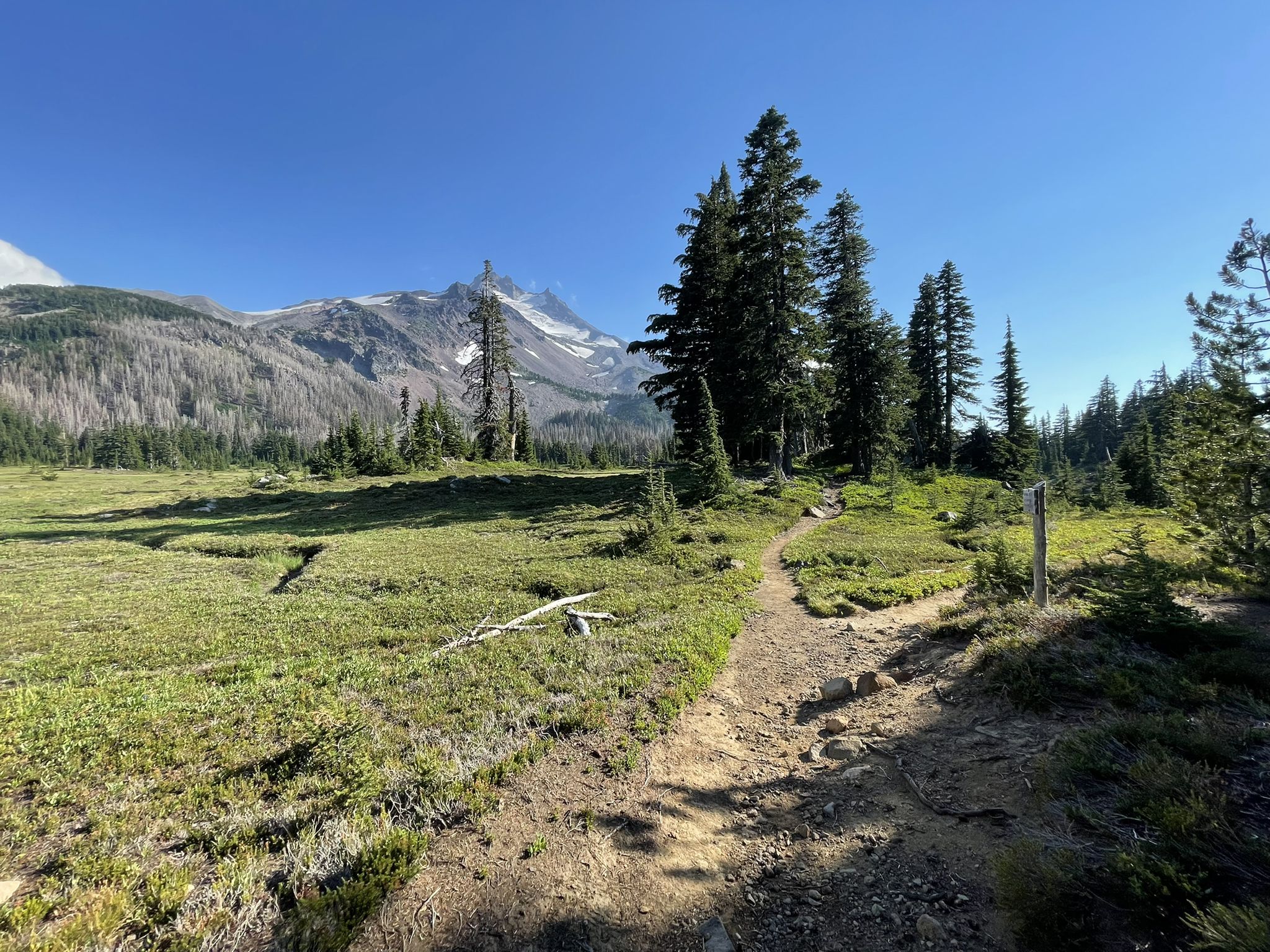 Dirt trail through a sunny green meadow with distant mountains and trees. - Scout Lake via Pacific Crest Trail