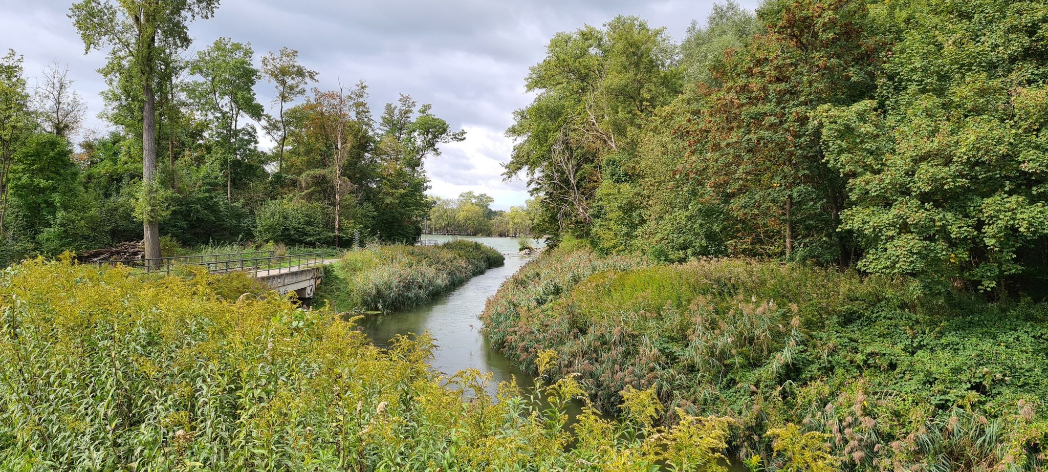 Geradeaus der Abfluss aus dem See, von links der (zu) nährstoffreiche Federbach, der um den See umgeleitet wurde.