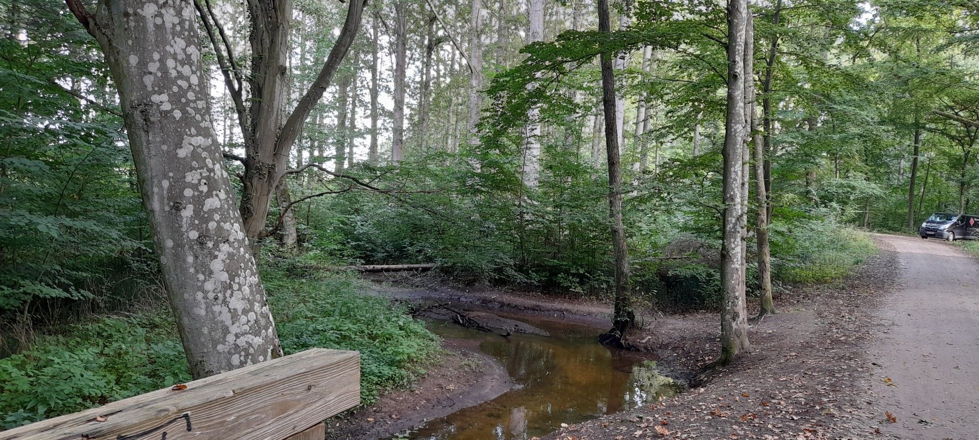 Die Tessenitz im Großen Satower Forst