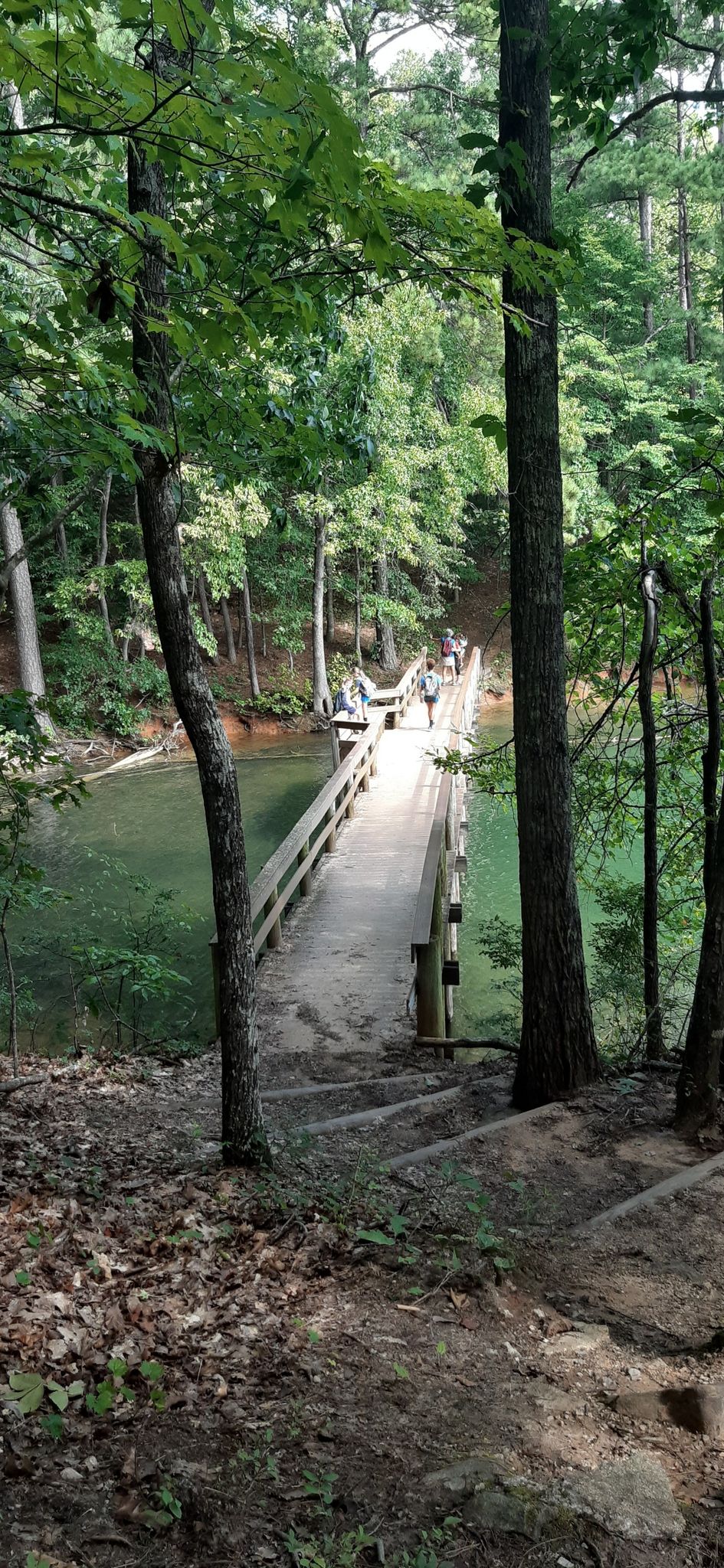 Wooden bridge over a river in a forest, with people walking. - Buford Dam Beach loop from Buford Dam - Saddle Dike 3