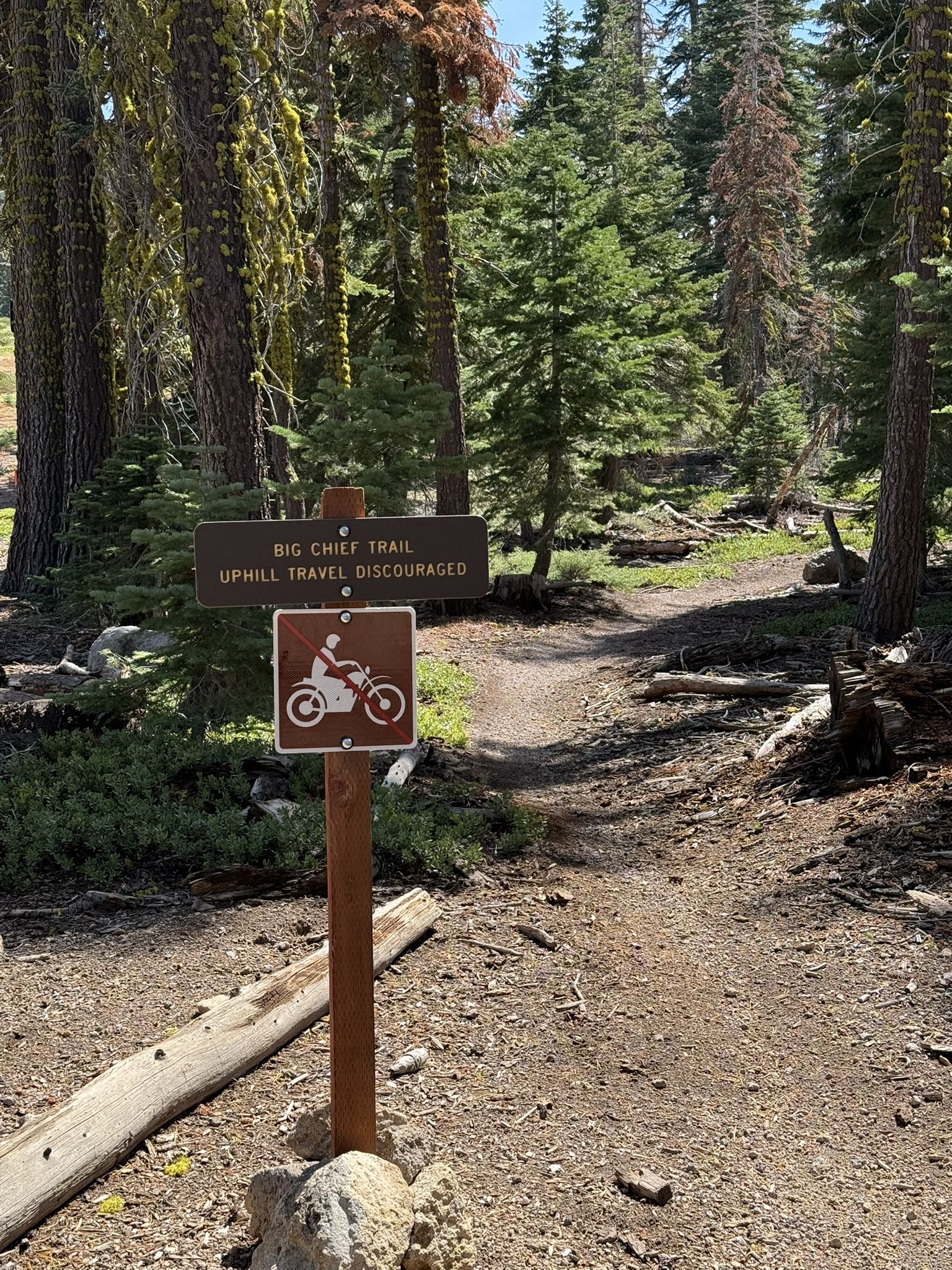 A trail sign stands on a dirt path in a sunny forest. - Big Chief and Sawtooth Trail Loop