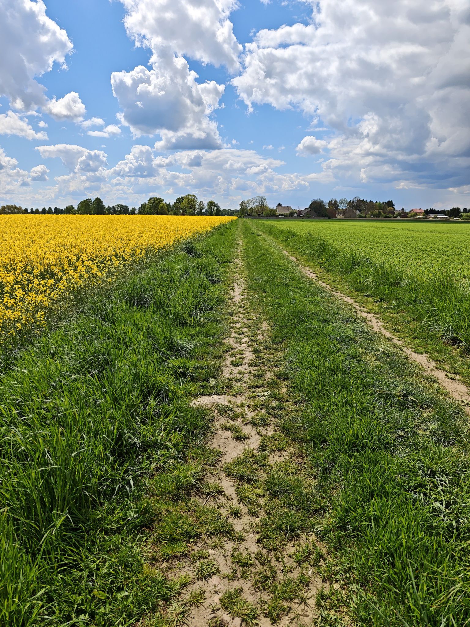 lubieszewo