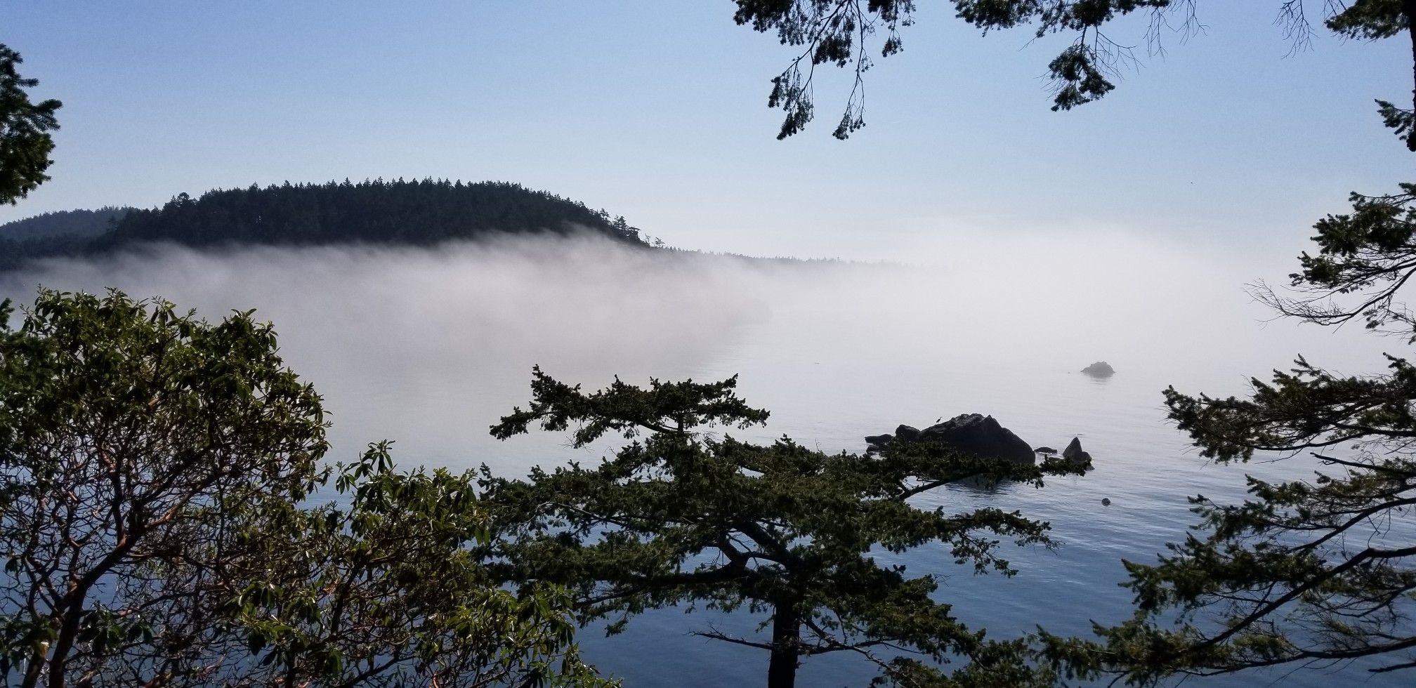 Thick fog rolls over a body of water, obscuring distant forested hills. - Rosario Head Trail
