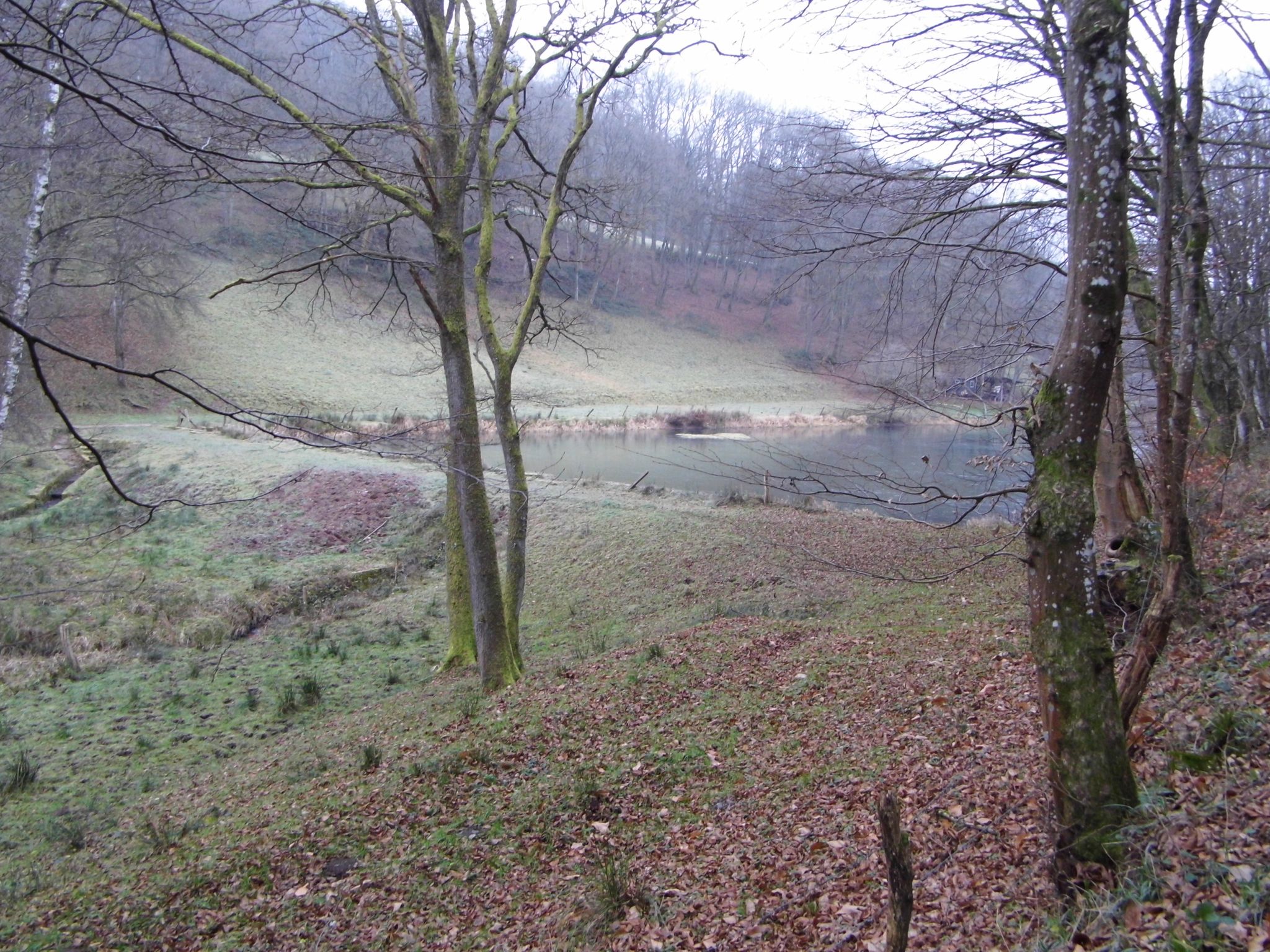 Schorbach Weiher