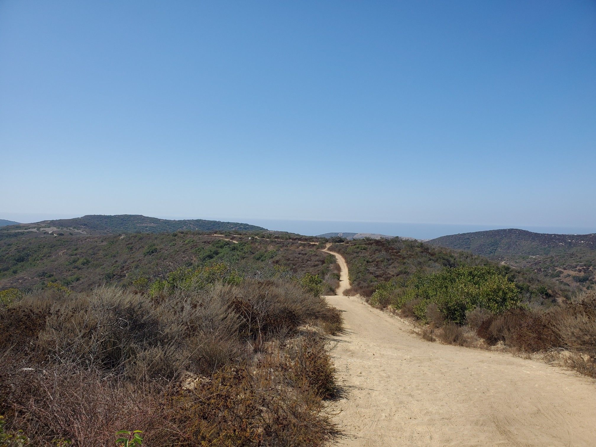 A dirt path winds over green, brush-covered hills under a clear blue sky. - Willow Canyon Road to Moro Ridge Road