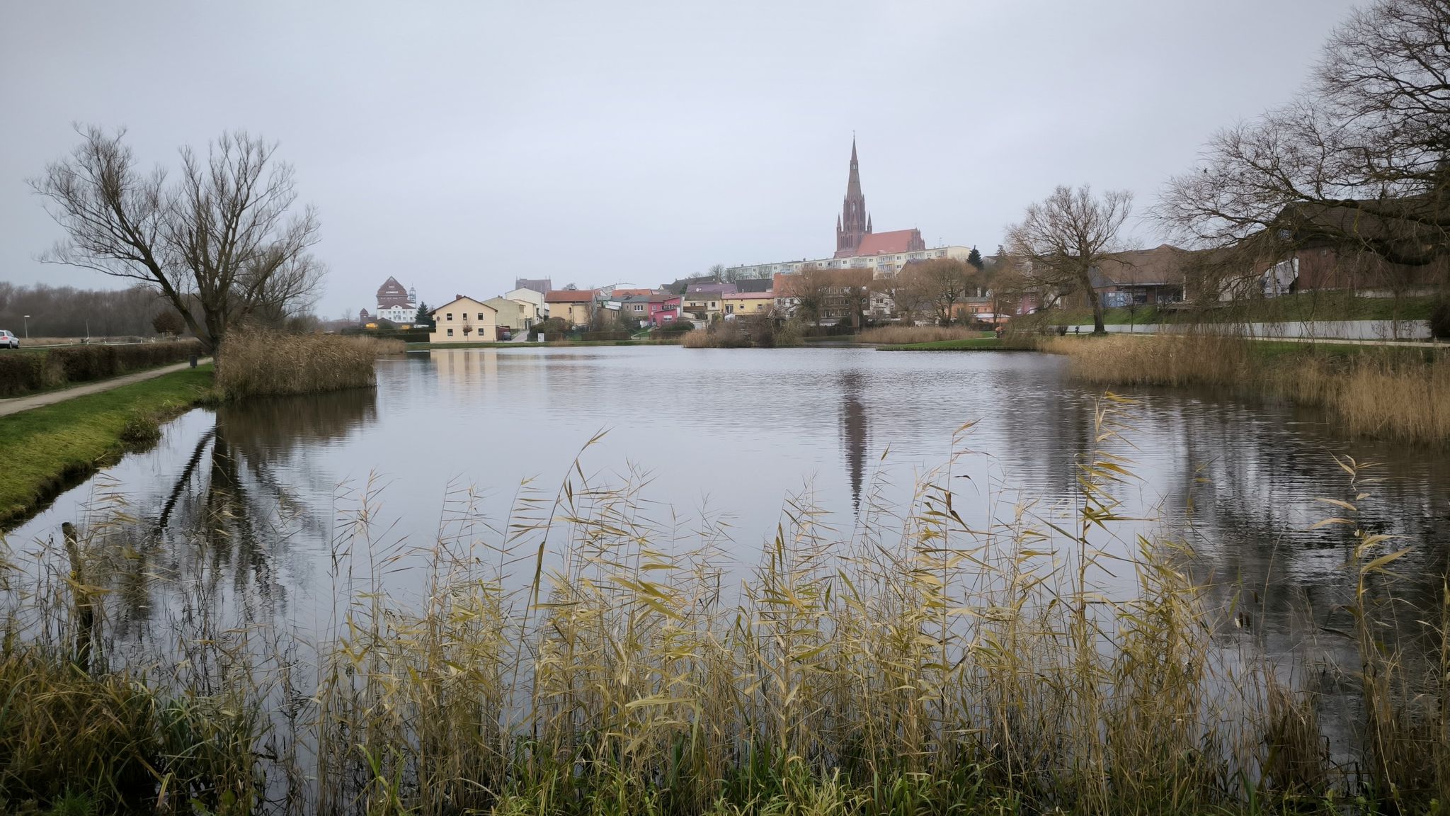 am Schwanenteich
