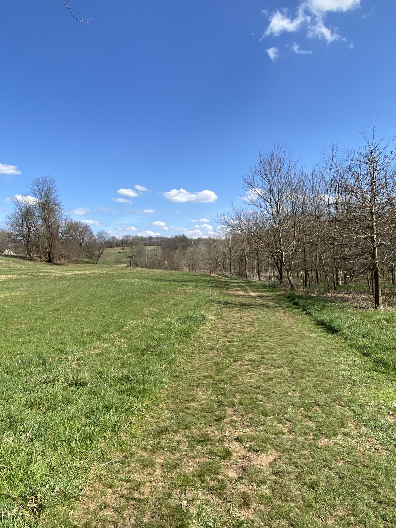Wide grassy field with a dirt path leading to distant trees under blue sky. - Yellow Loop