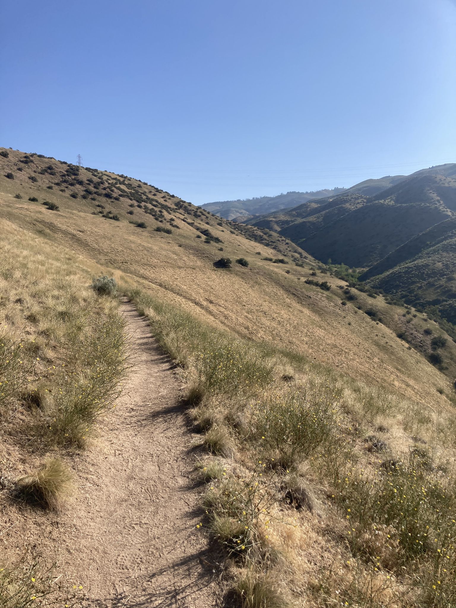 A narrow dirt trail winds along a dry, grassy hillside under a clear sky. - Hulls Gulch Reserve – Hulls Gulch loop from Crane Creek Hollow